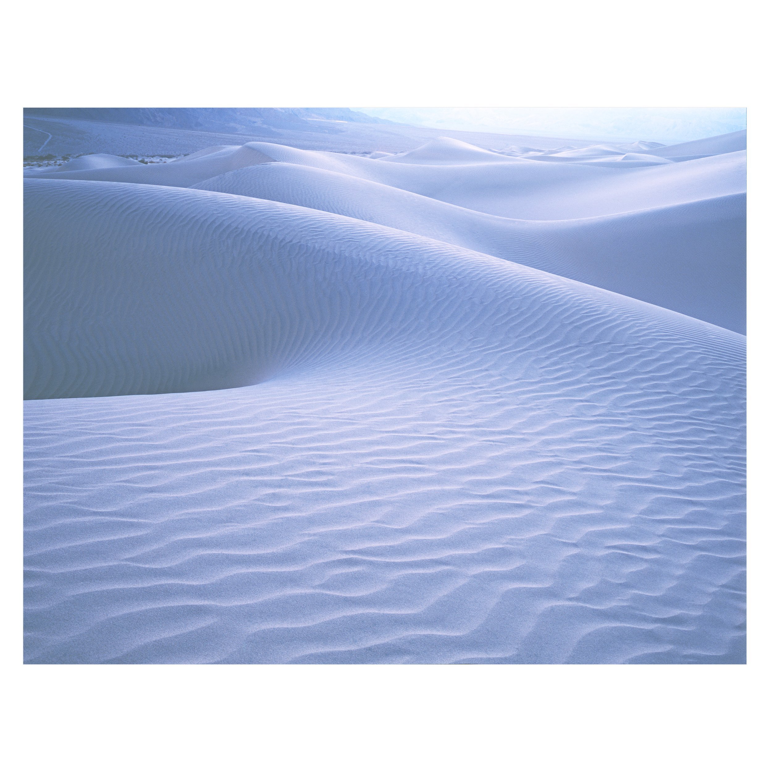 Moonlight+Dunes.jpg