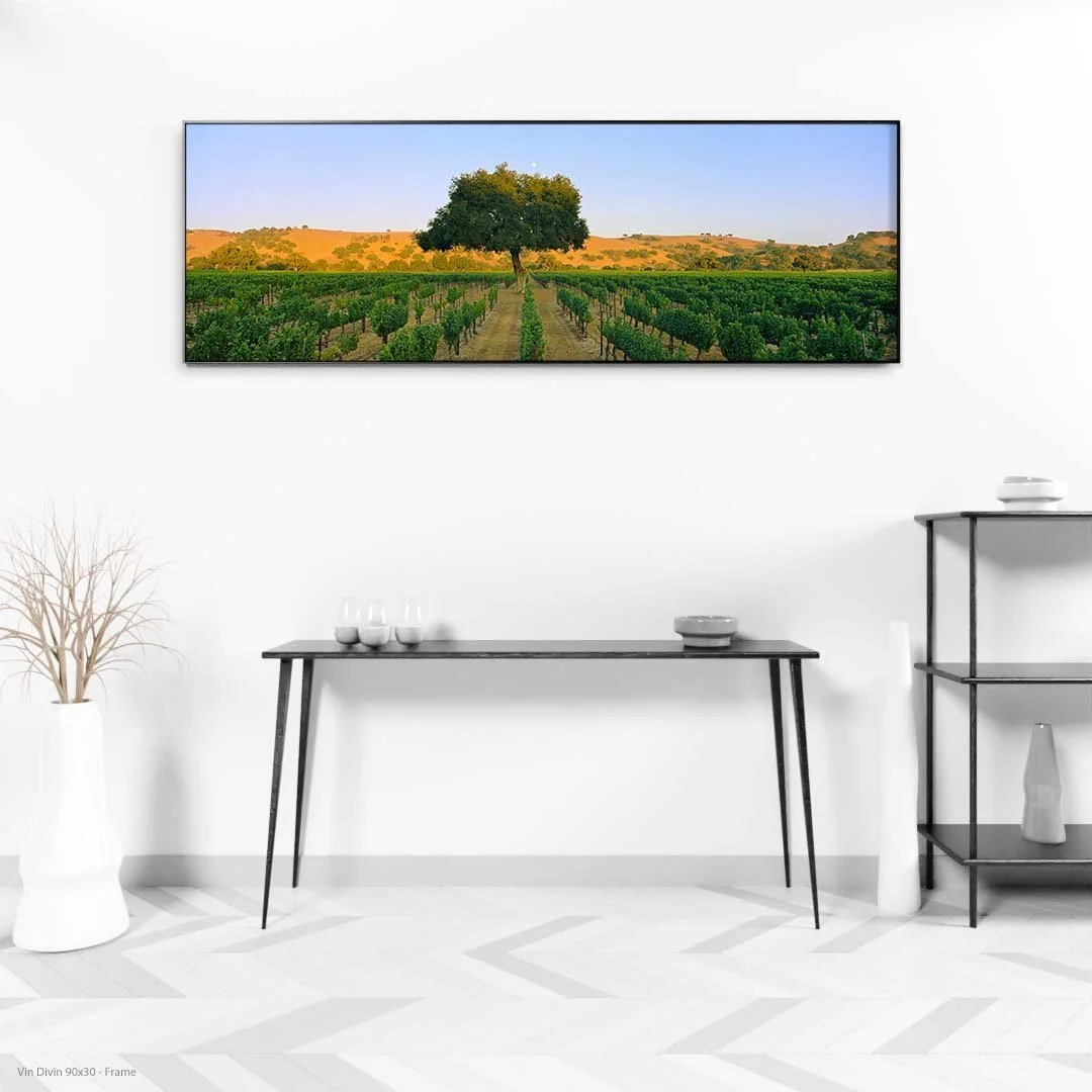 Vin+Divin+90x30+-+Frame.jpg