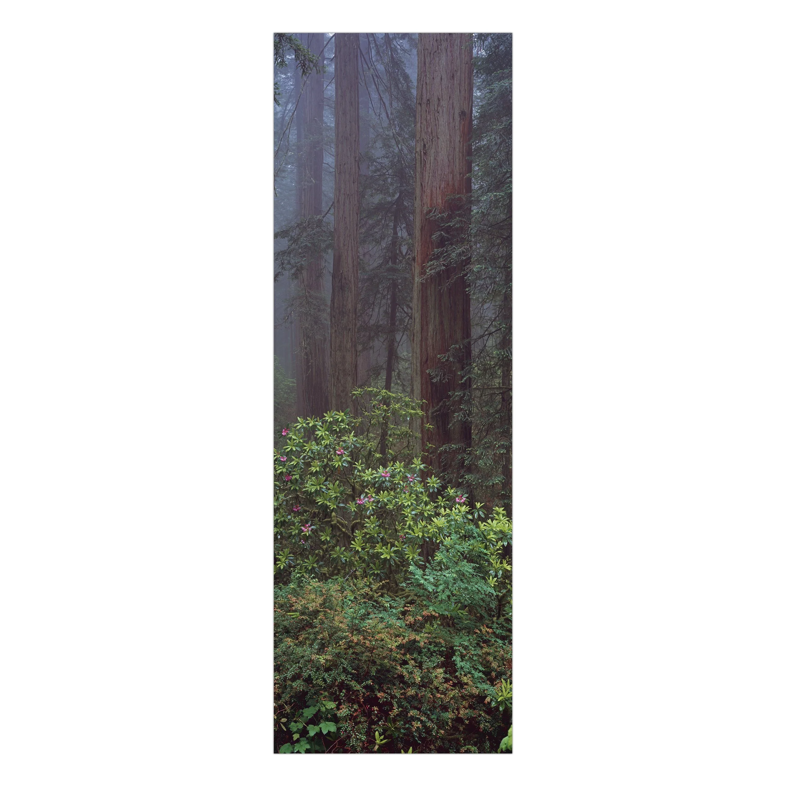 Del Norte