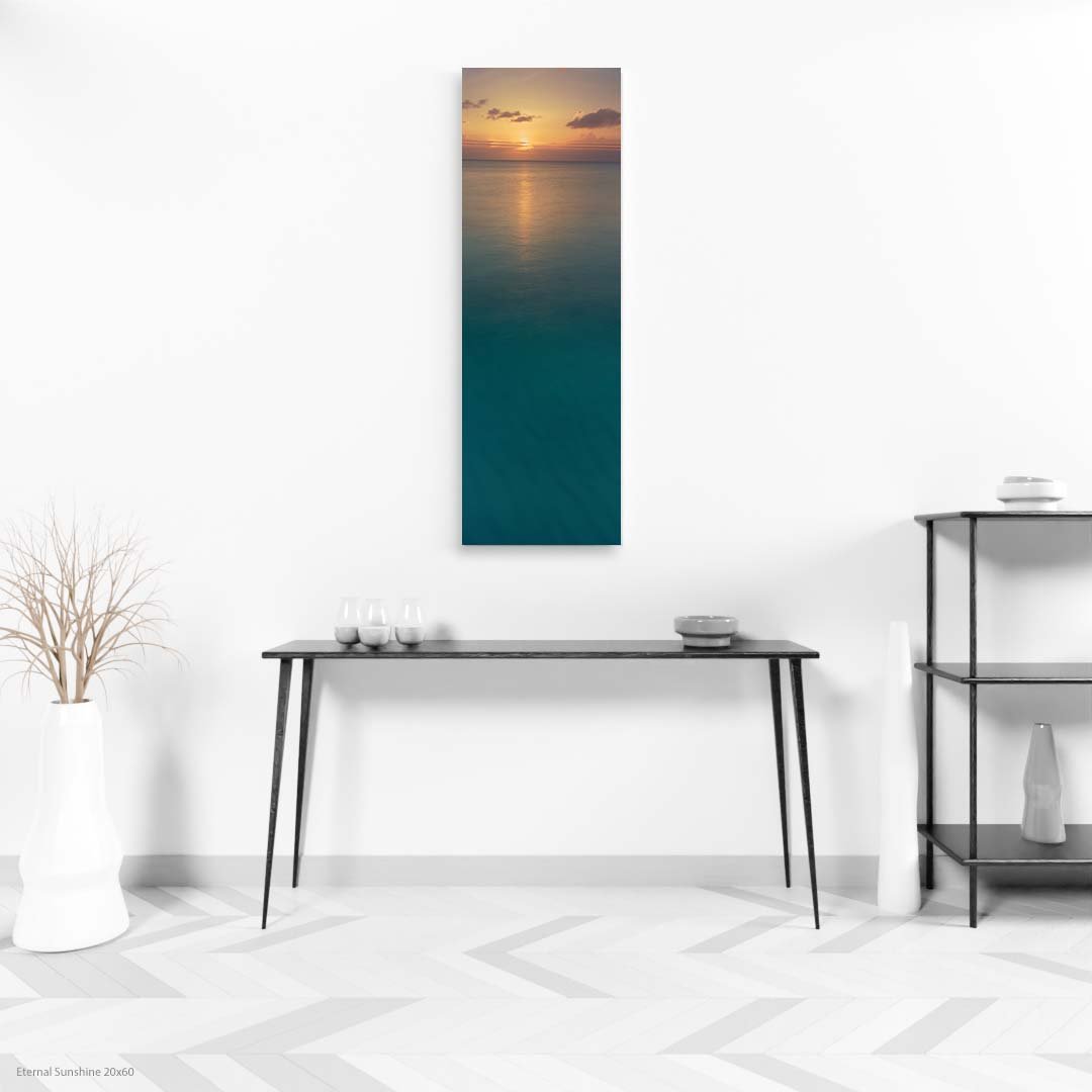 Eternal+Sunshine+20x60.jpg