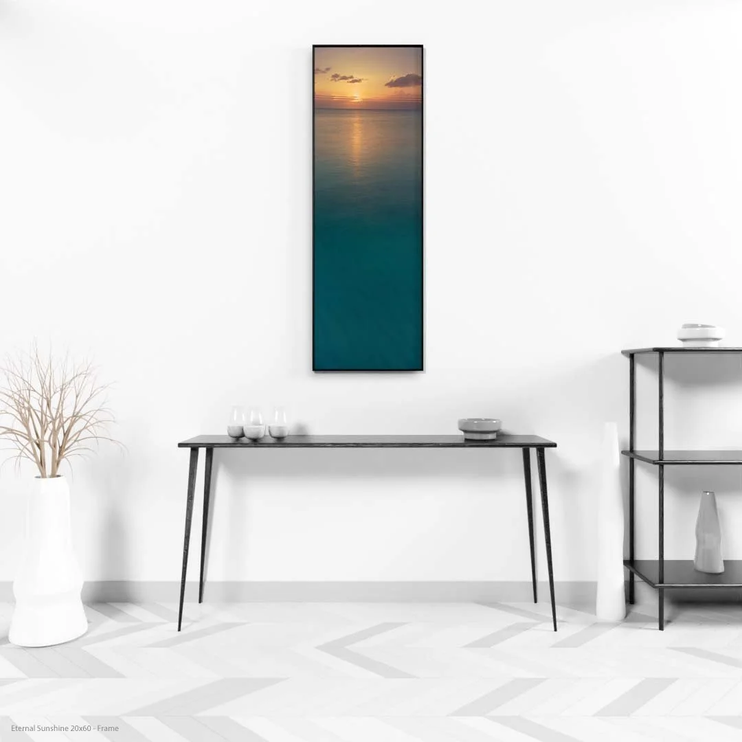 Eternal+Sunshine+20x60+-+Frame.jpg