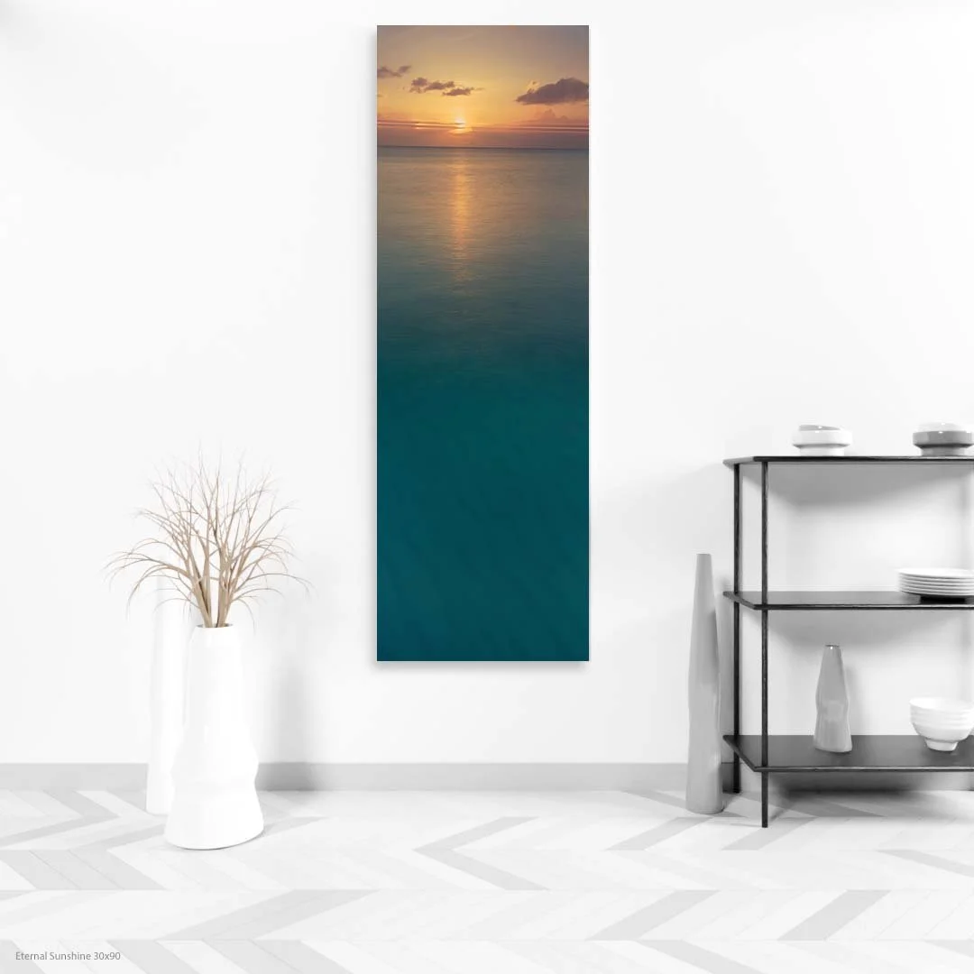 Eternal+Sunshine+30x90.jpg
