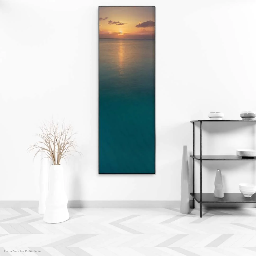 Eternal+Sunshine+30x90+-+Frame.jpg