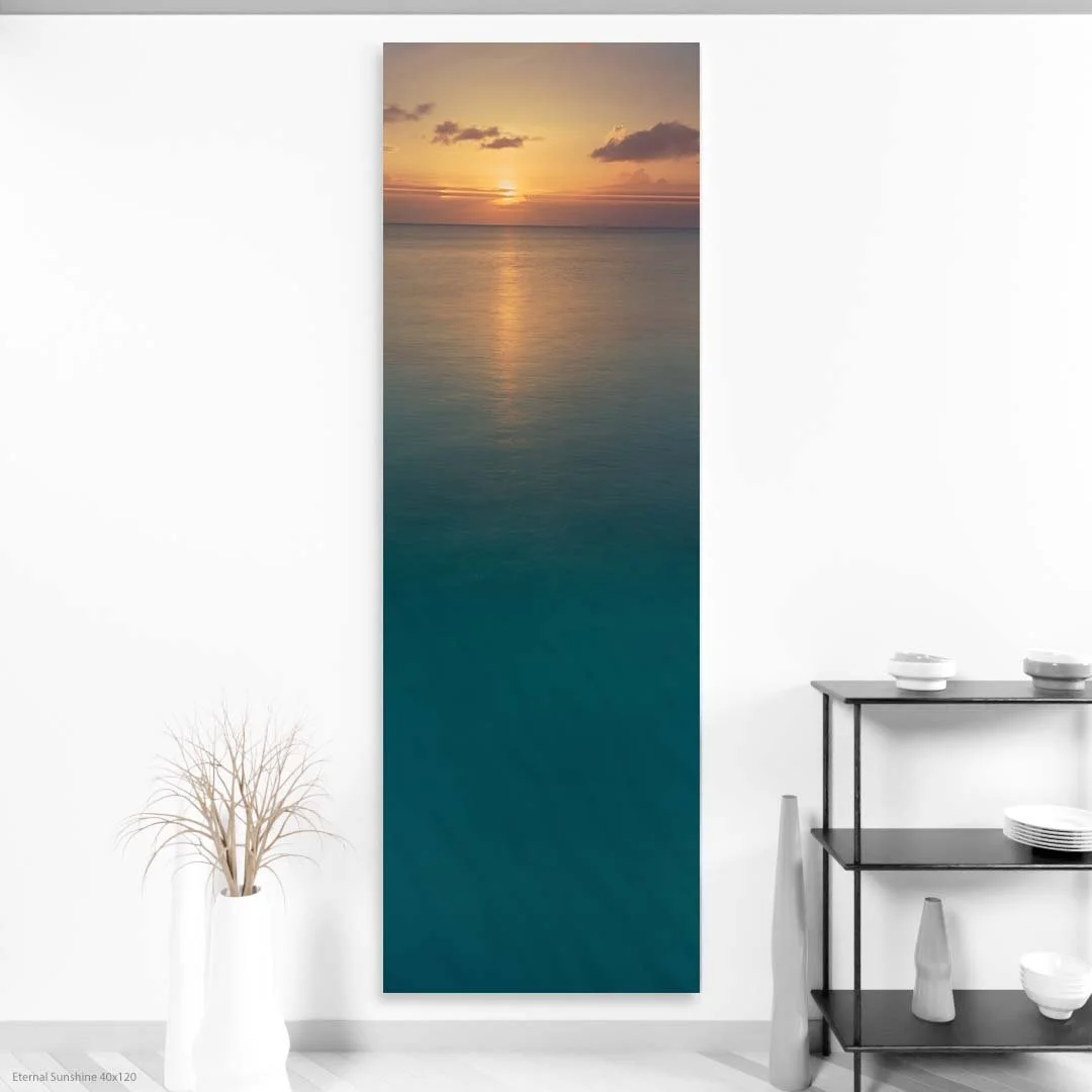 Eternal+Sunshine+40x120.jpg