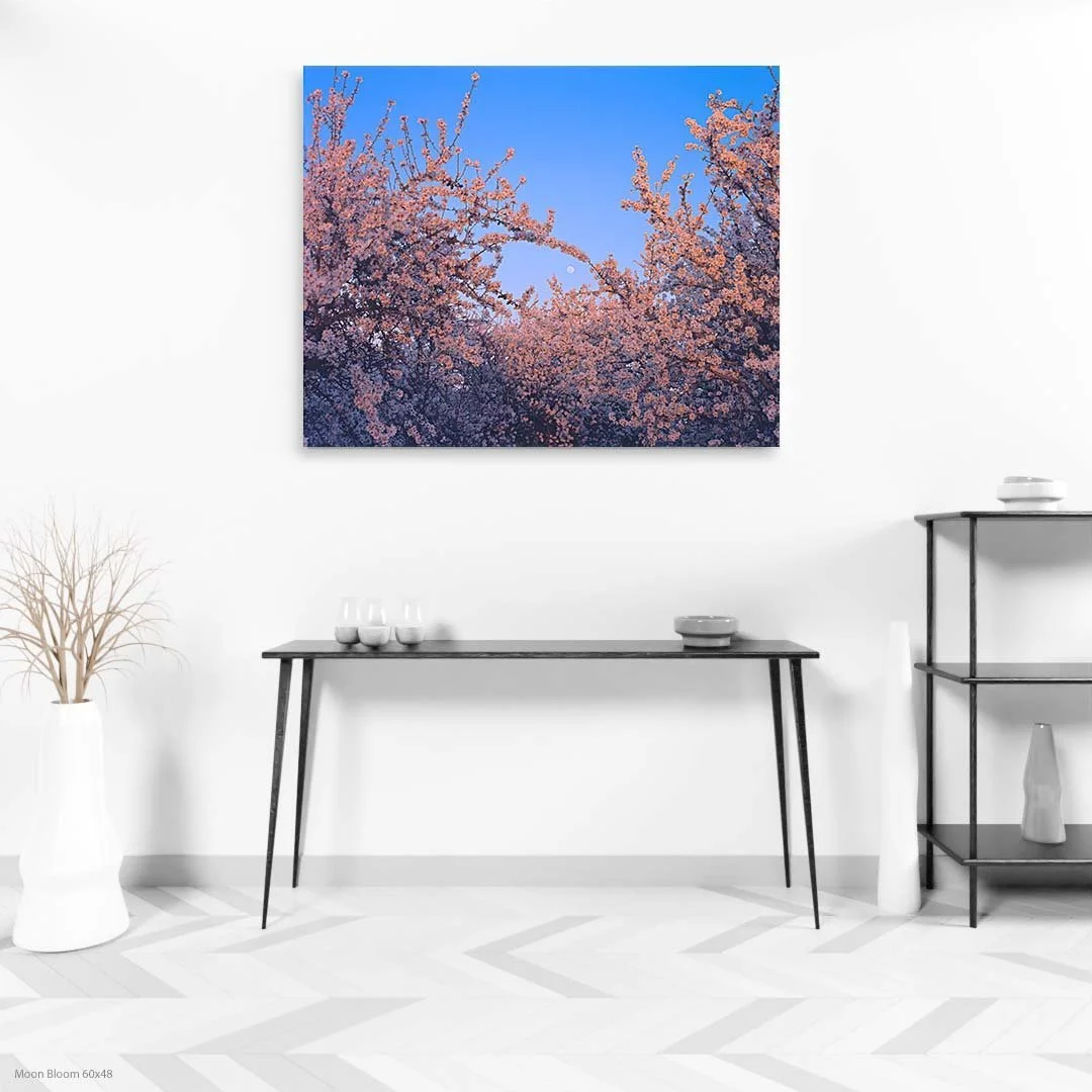 Moon+Bloom+60x48.jpg