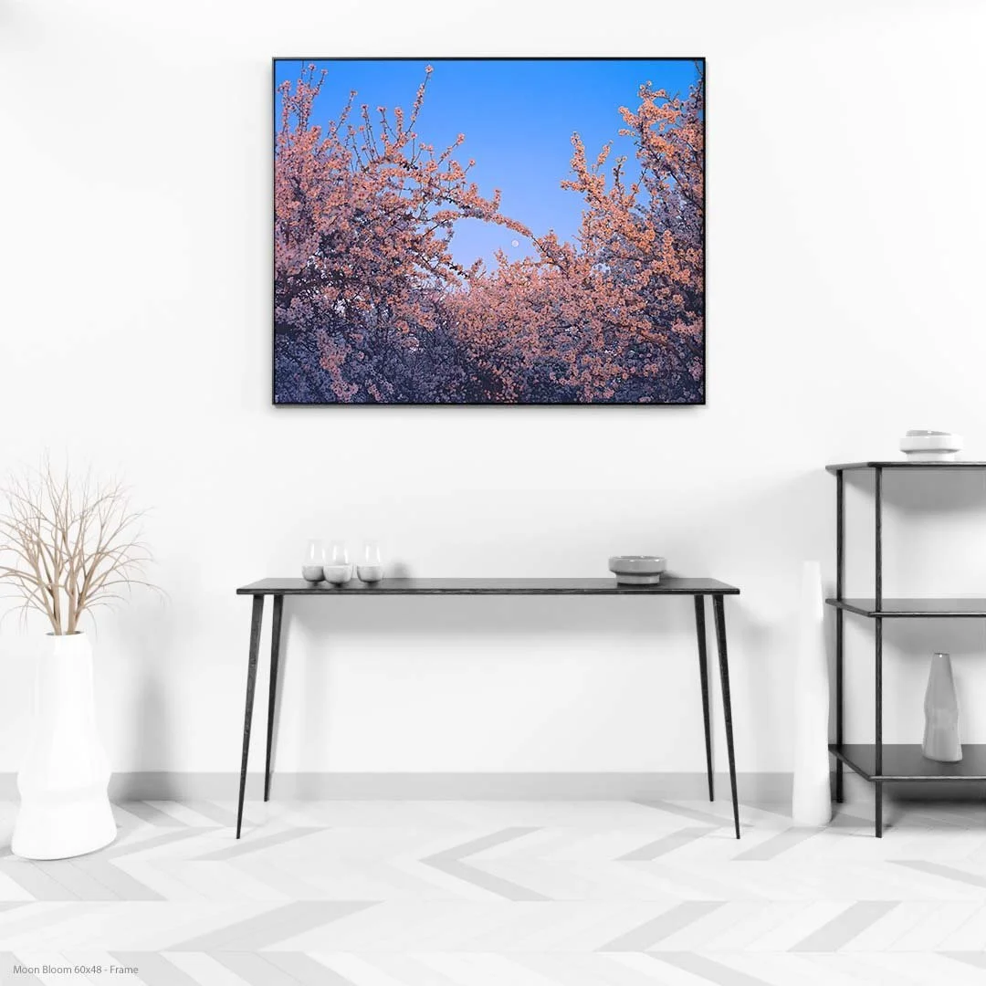 Moon+Bloom+60x48+-+Frame.jpg