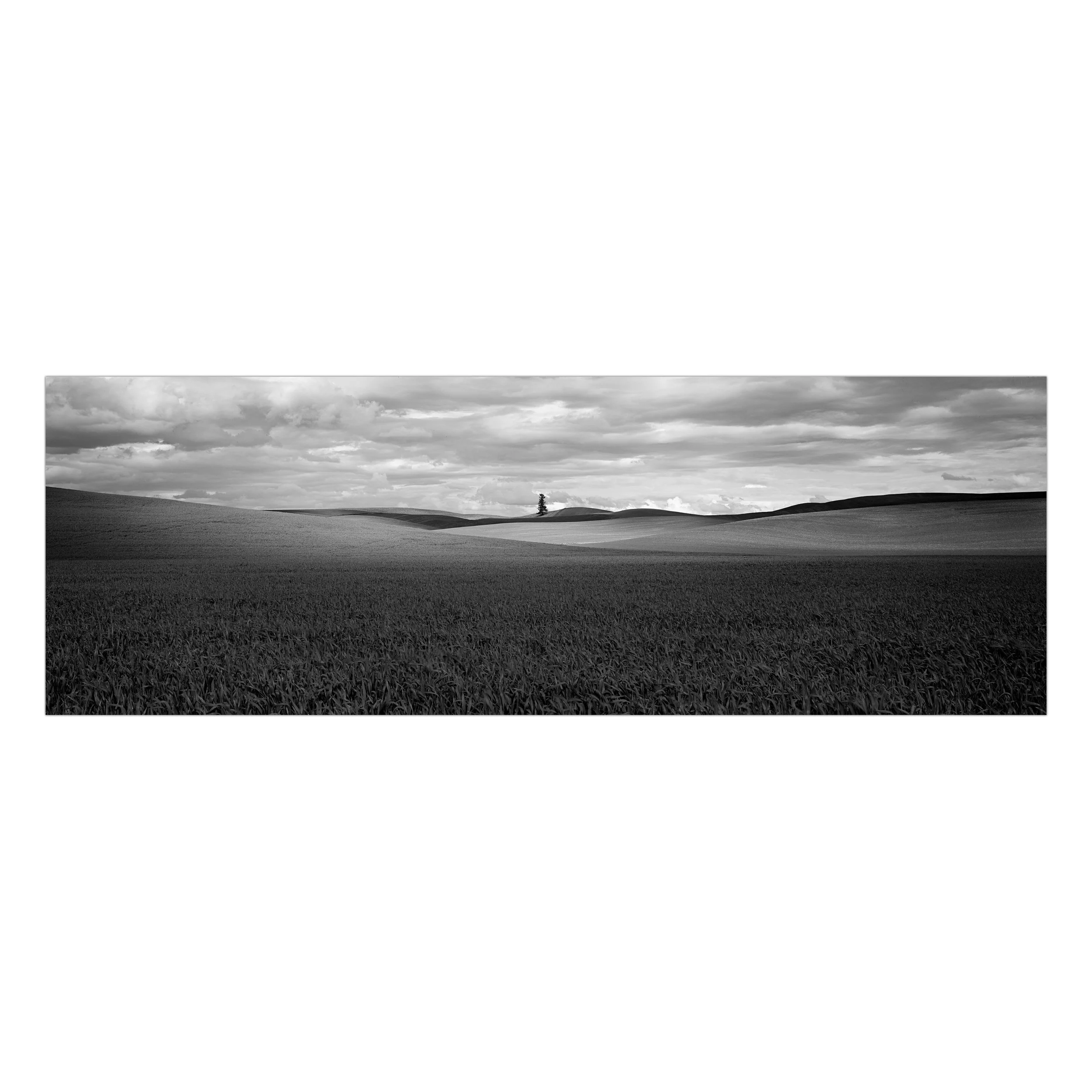Sea+of+Gray+3600.jpg