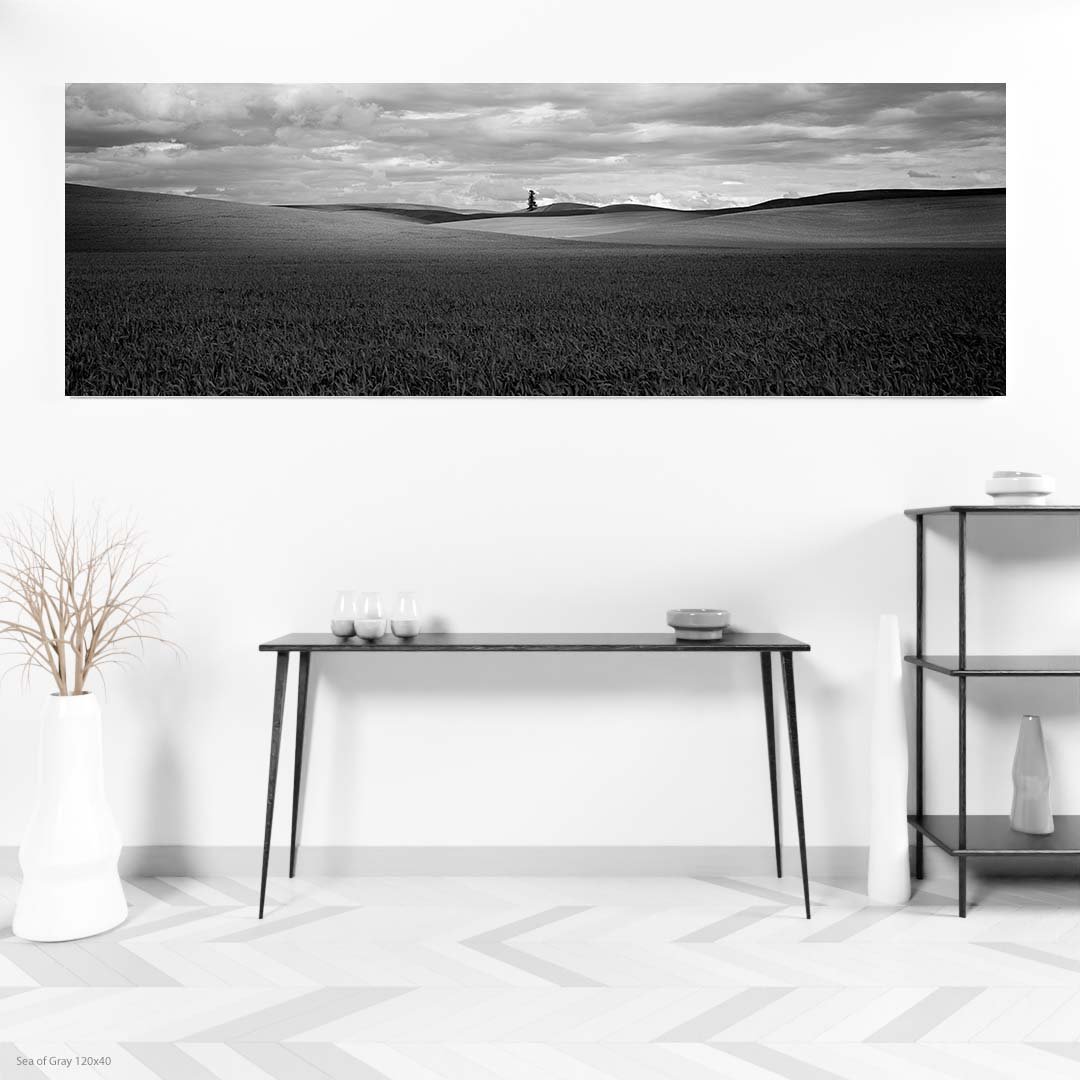 Sea+of+Gray+120x40.jpg
