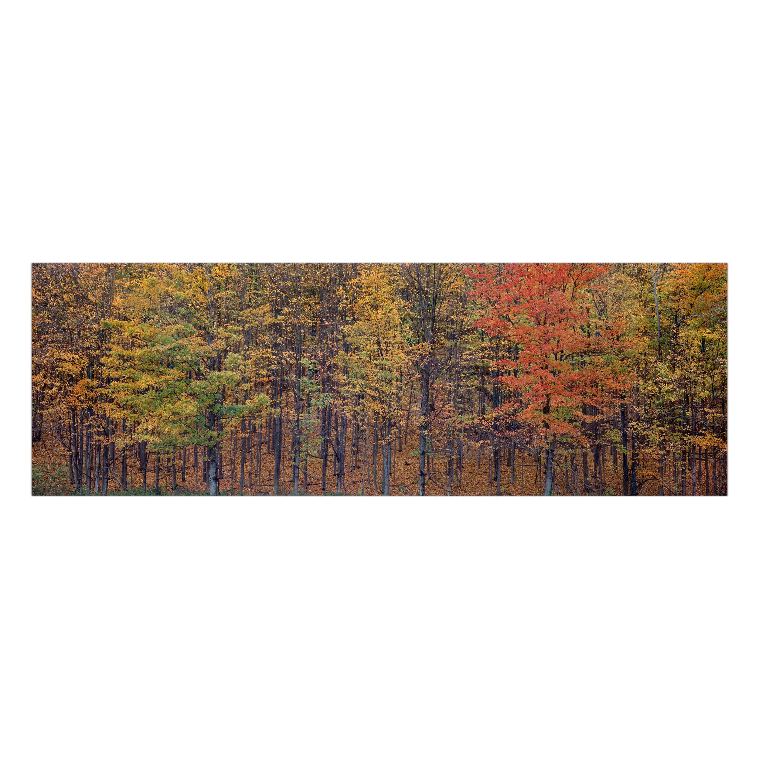 Autumn+in+New+York+3600.jpg