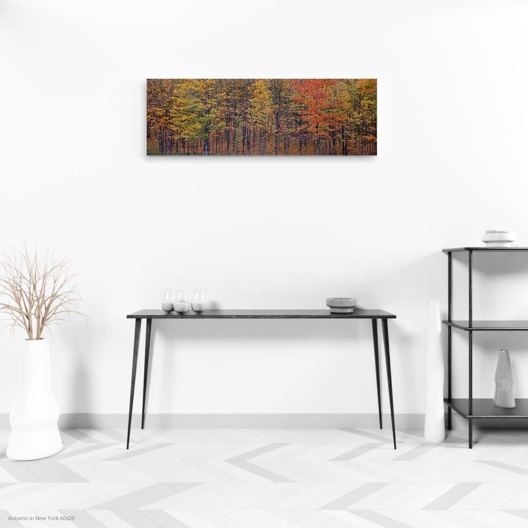 Autumn+in+New+York+60x20.jpg