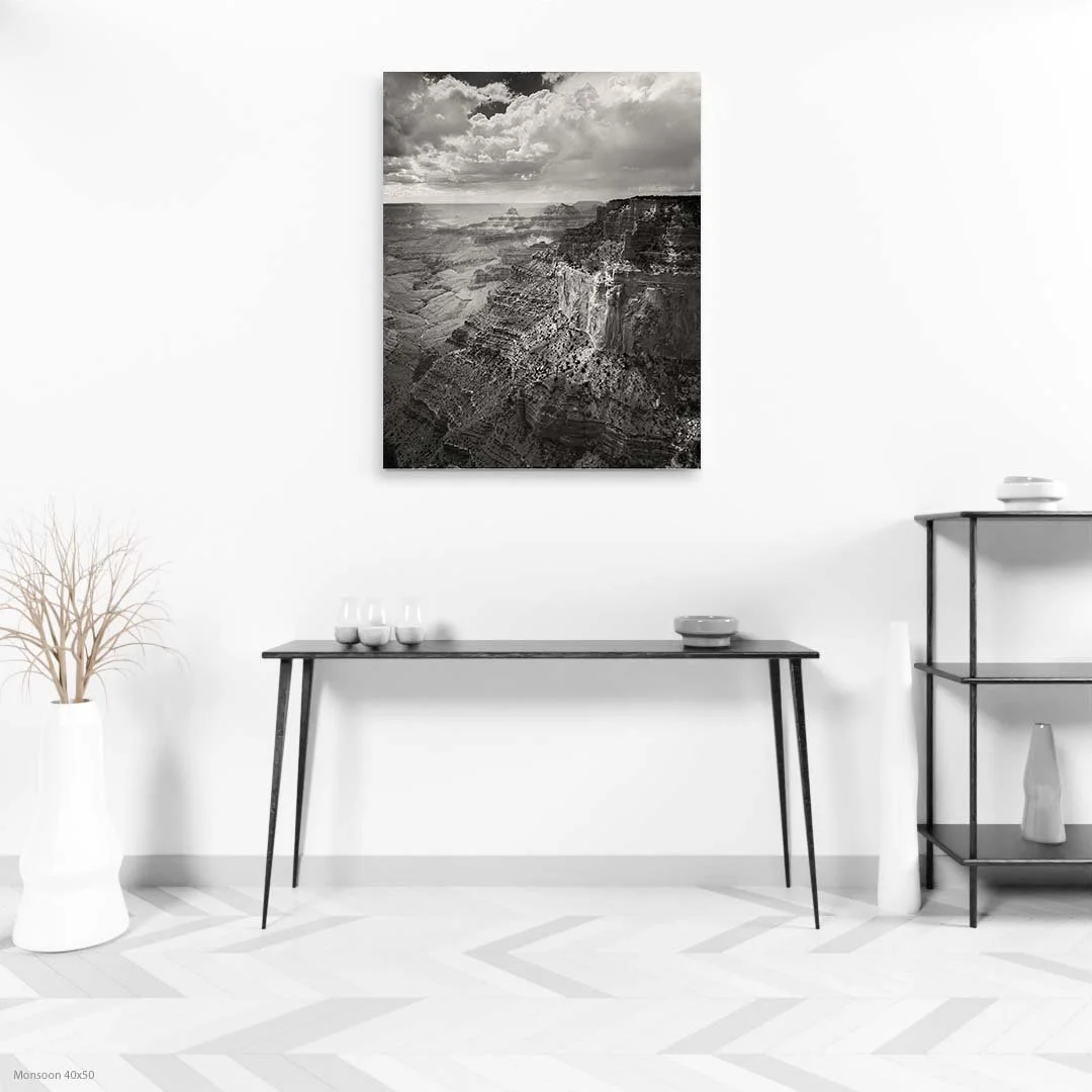 Monsoon+40x50.jpg