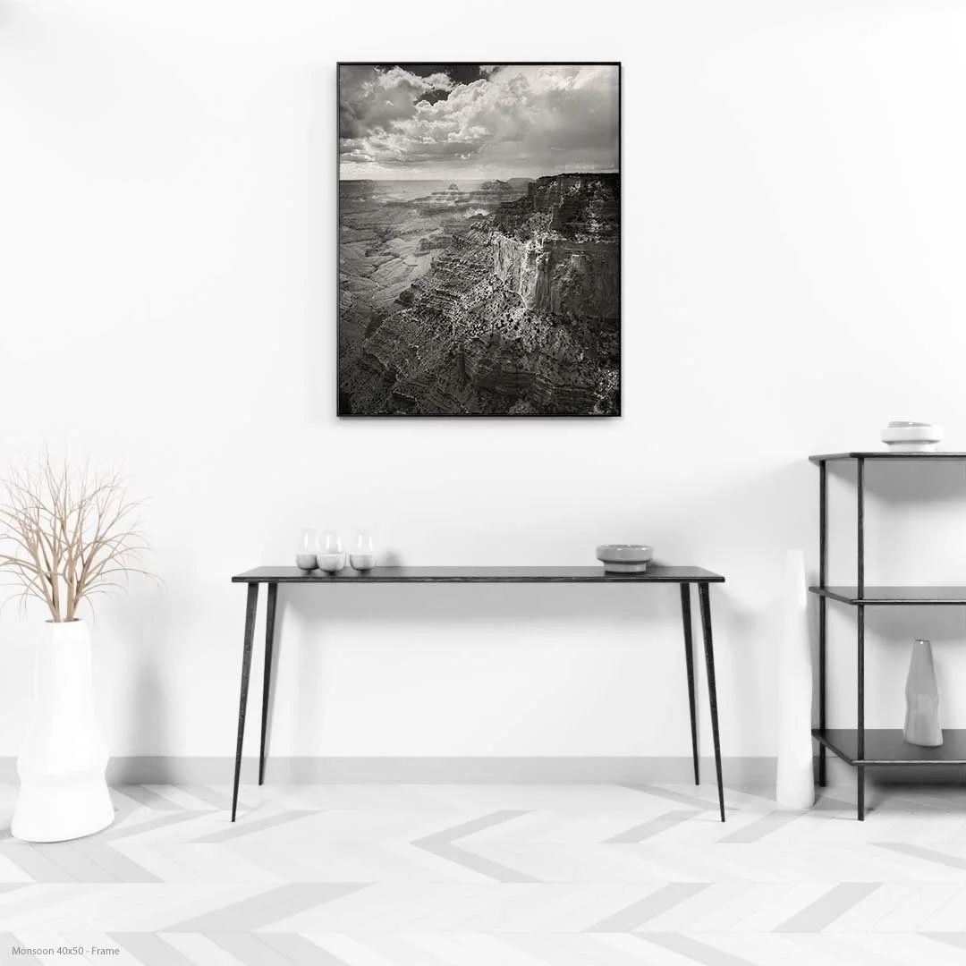 Monsoon+40x50+-+Frame.jpg