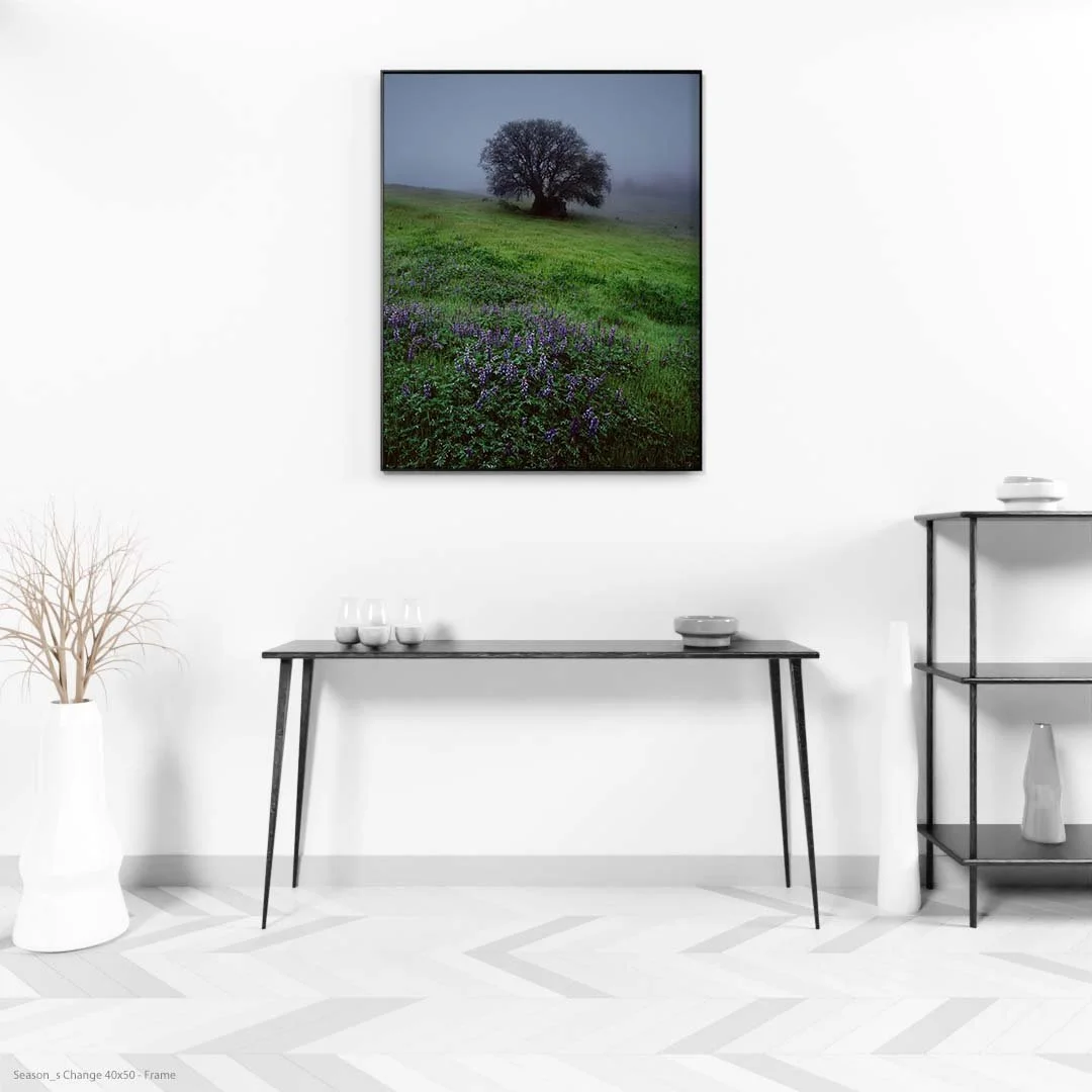 Season_s+Change+40x50+-+Frame.jpg