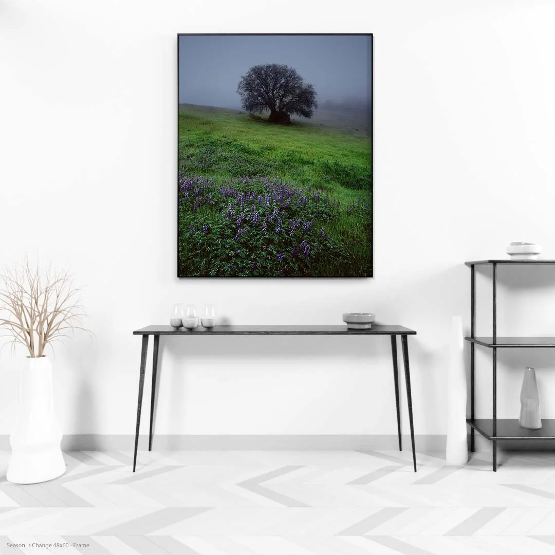 Season_s+Change+48x60+-+Frame.jpg