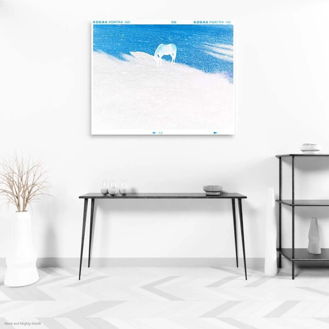 MeekandMighty60x48.jpg