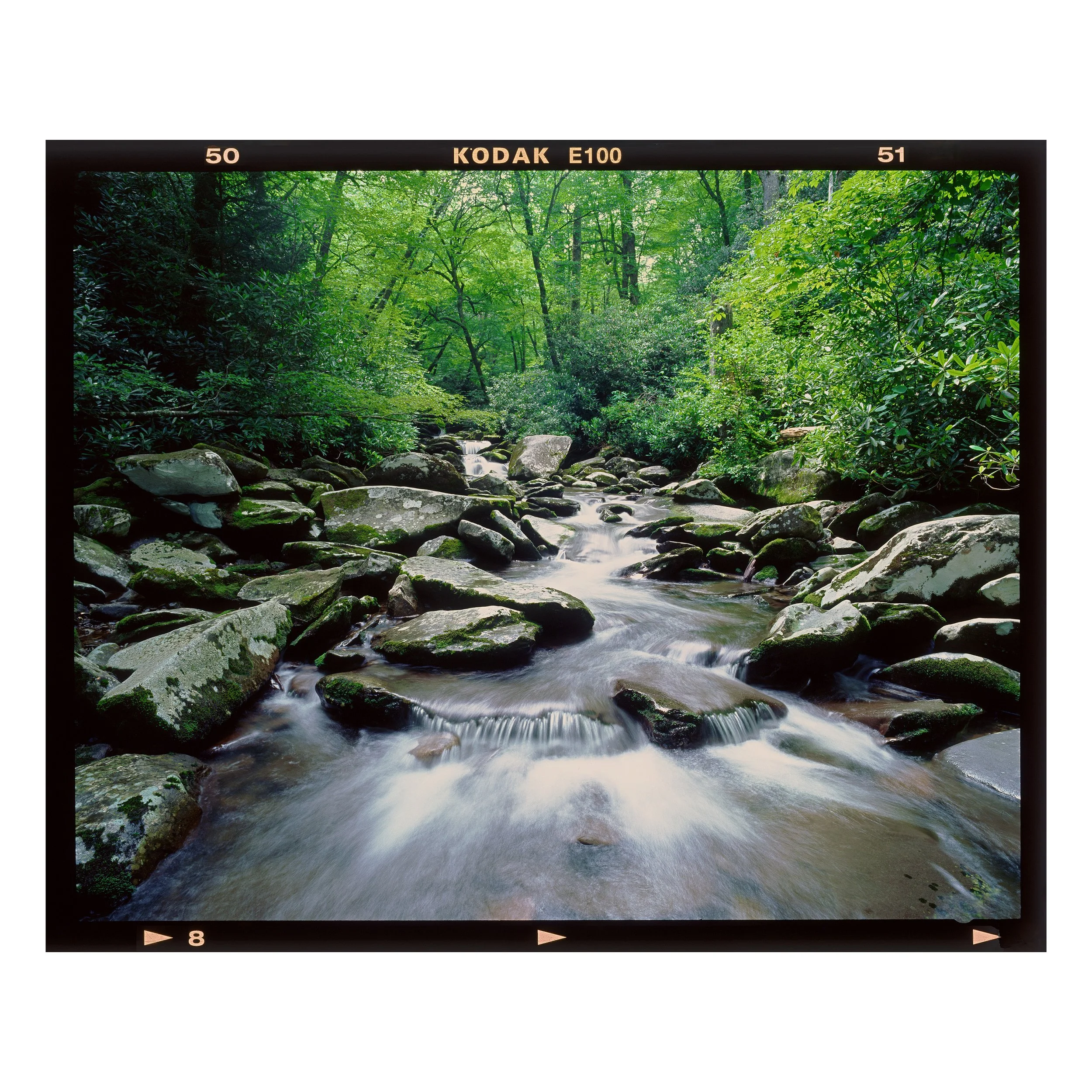 Summer in the Smokies