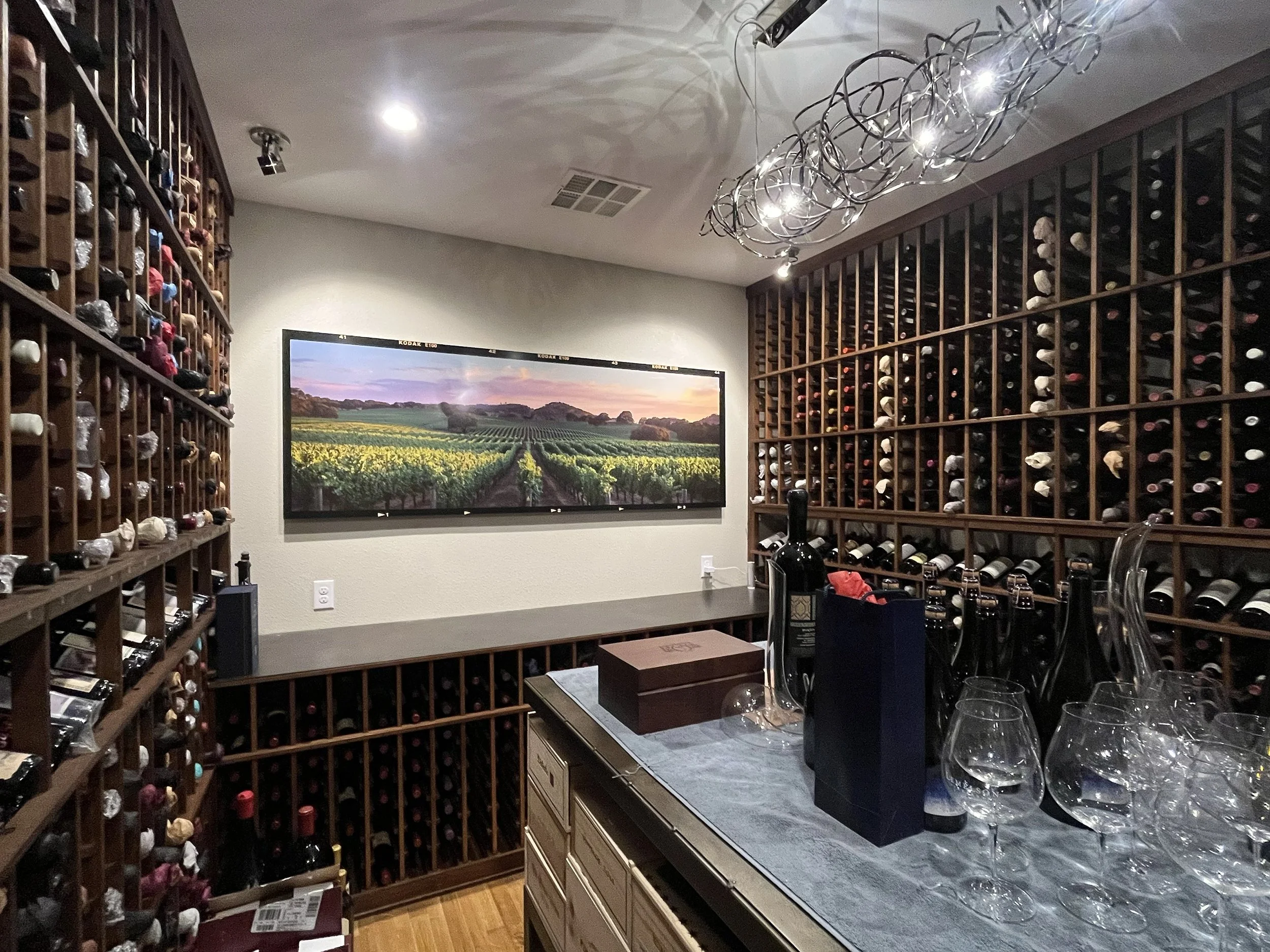 Vines Branches Cellar Install 3200.jpg