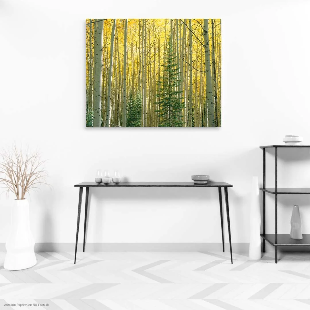 Autumn Expression No 1 60x48.jpg