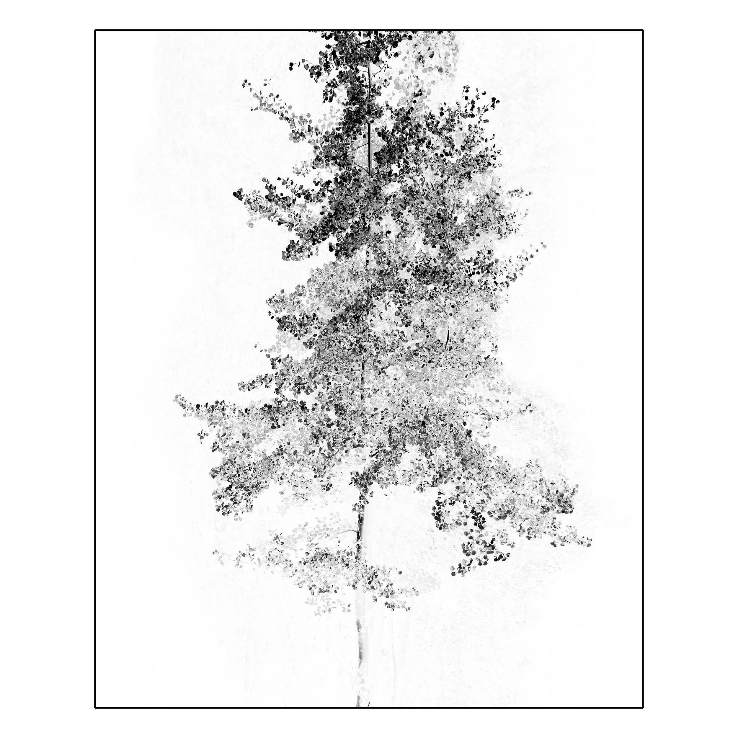 Glow Inversion