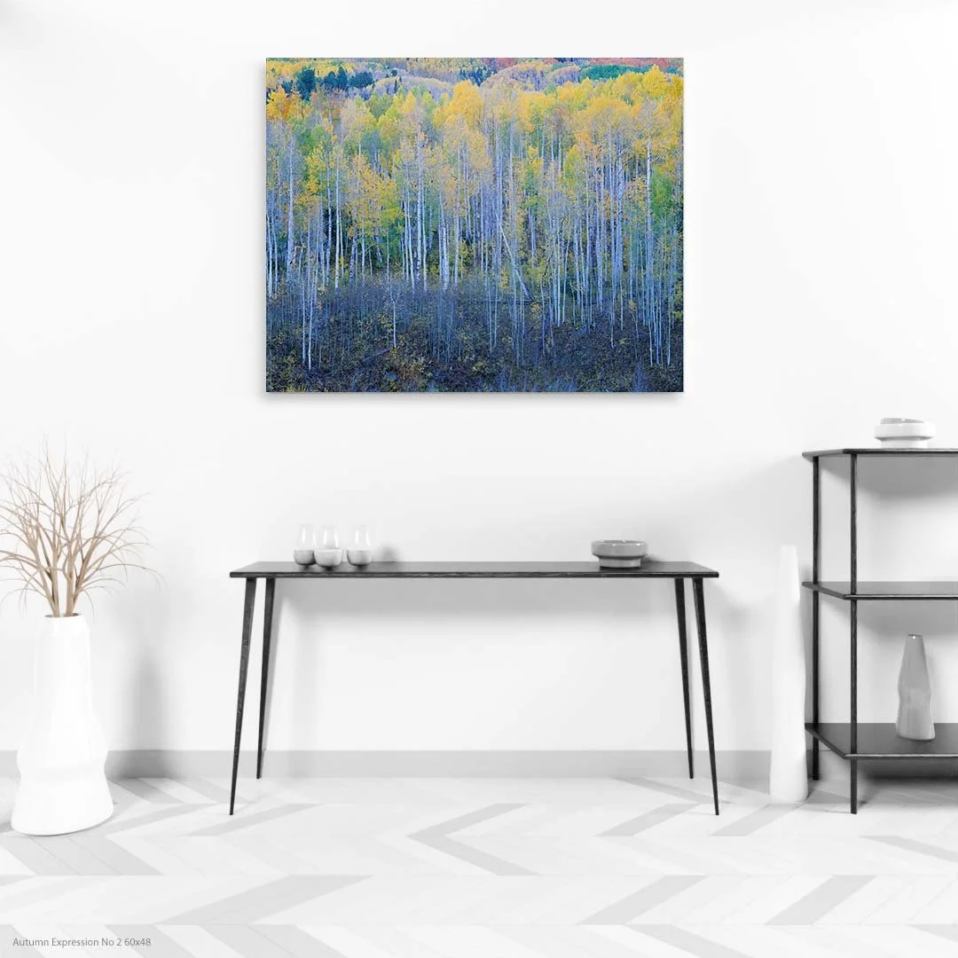 Autumn Expression No 2 60x48.jpg
