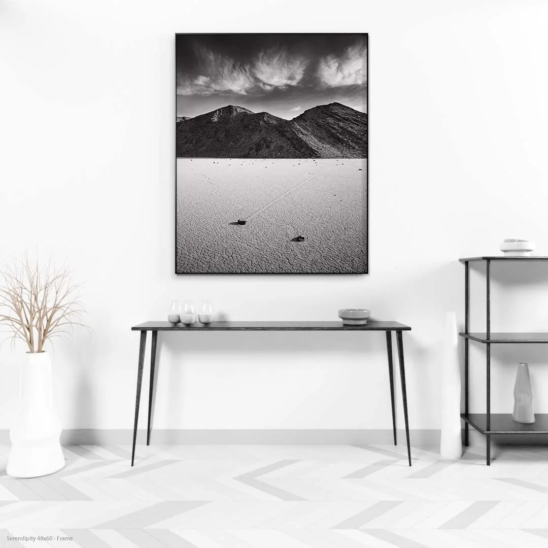 Serendipity48x60-Frame.jpg