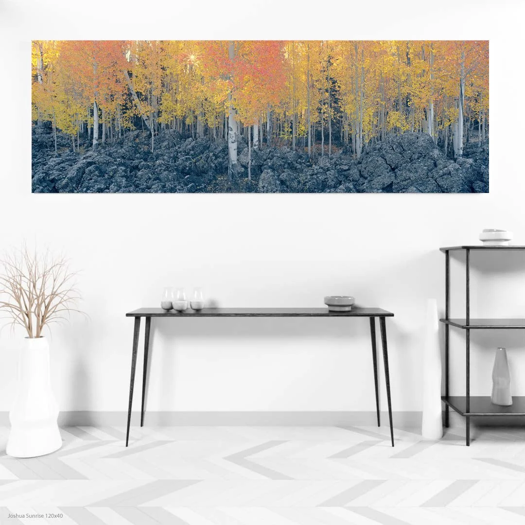 Out of Ashes 120x40.jpg