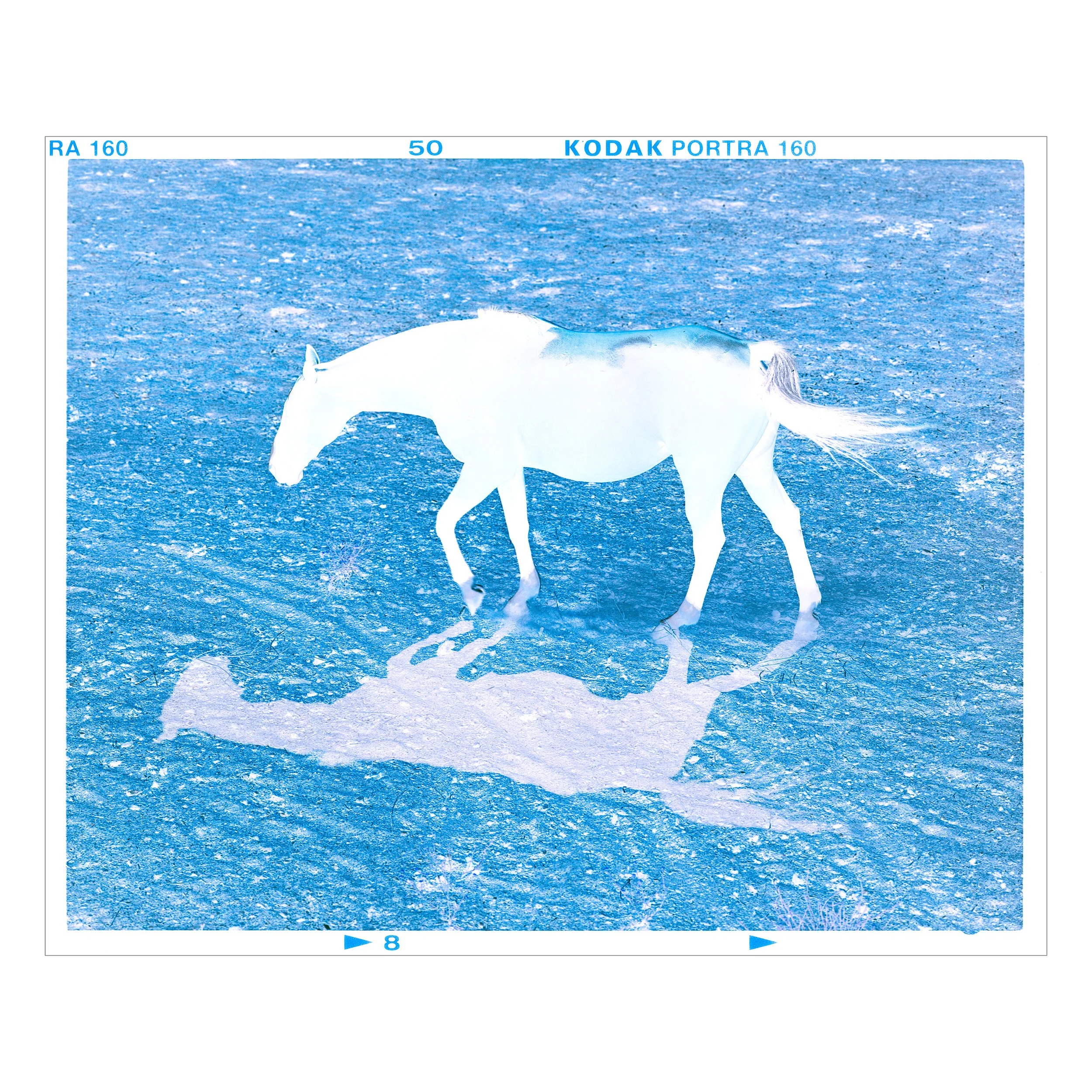 Dark Horse