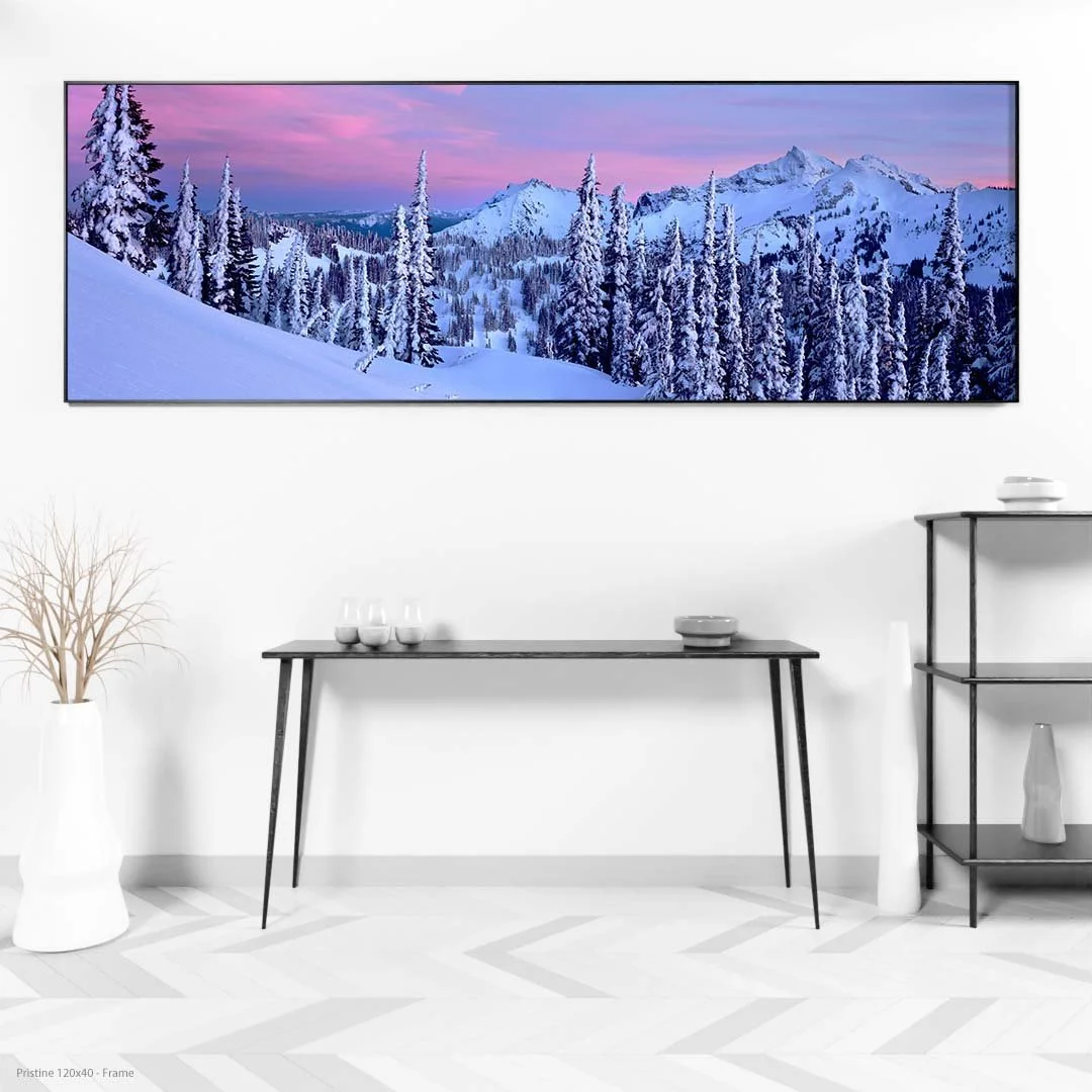 Pristine120x40-Frame.jpg