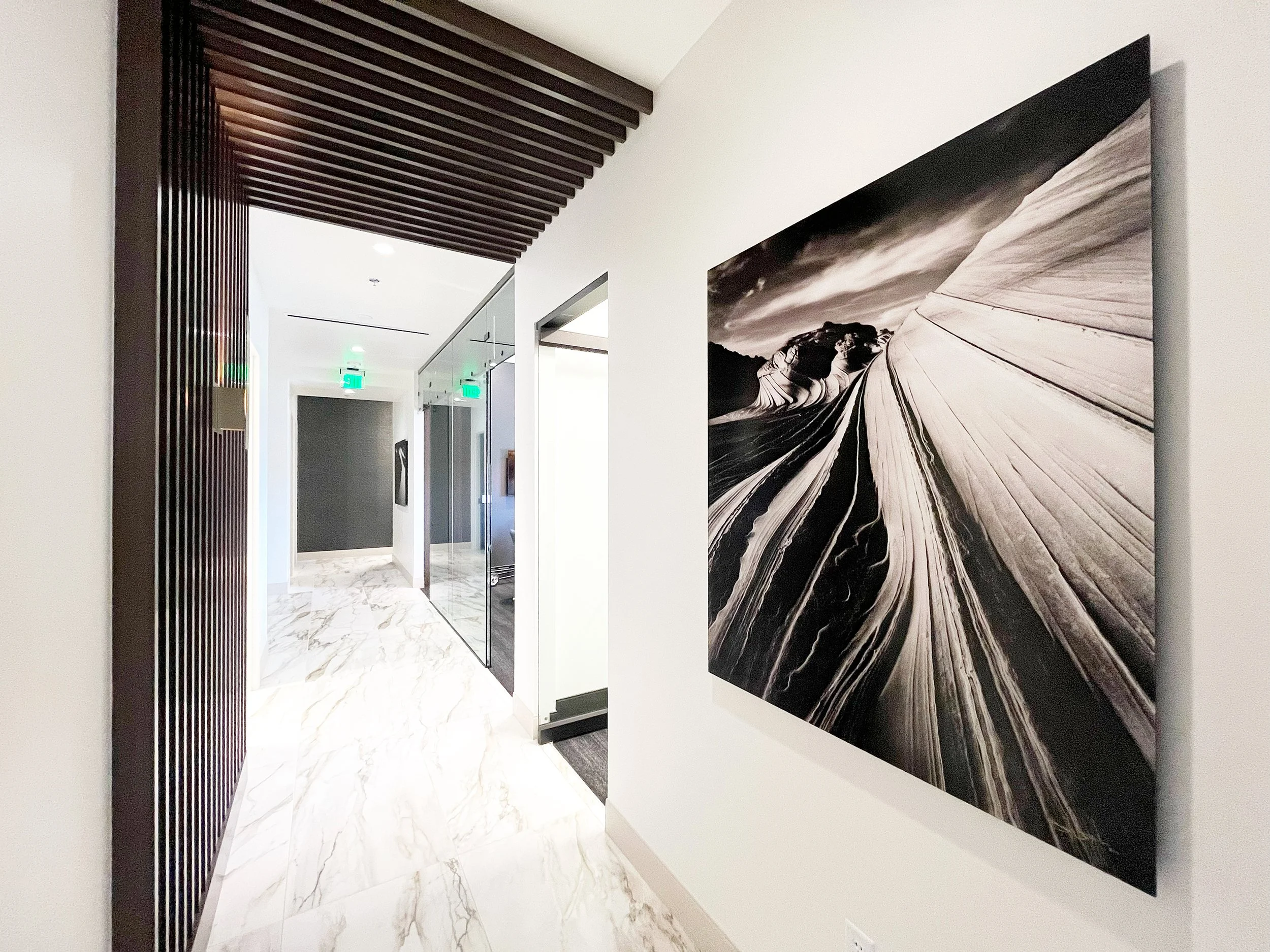 "Primal" | Corporate Las Vegas Installation