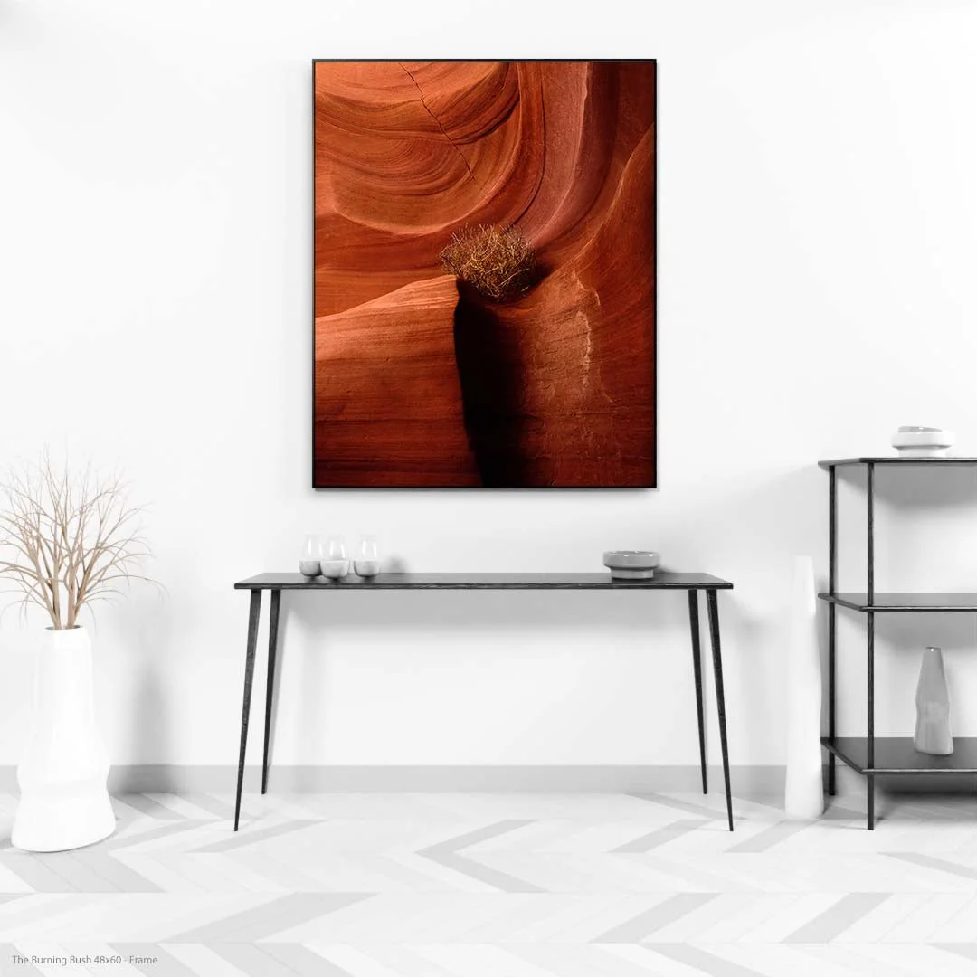 TheBurningBush48x60-Frame.jpg