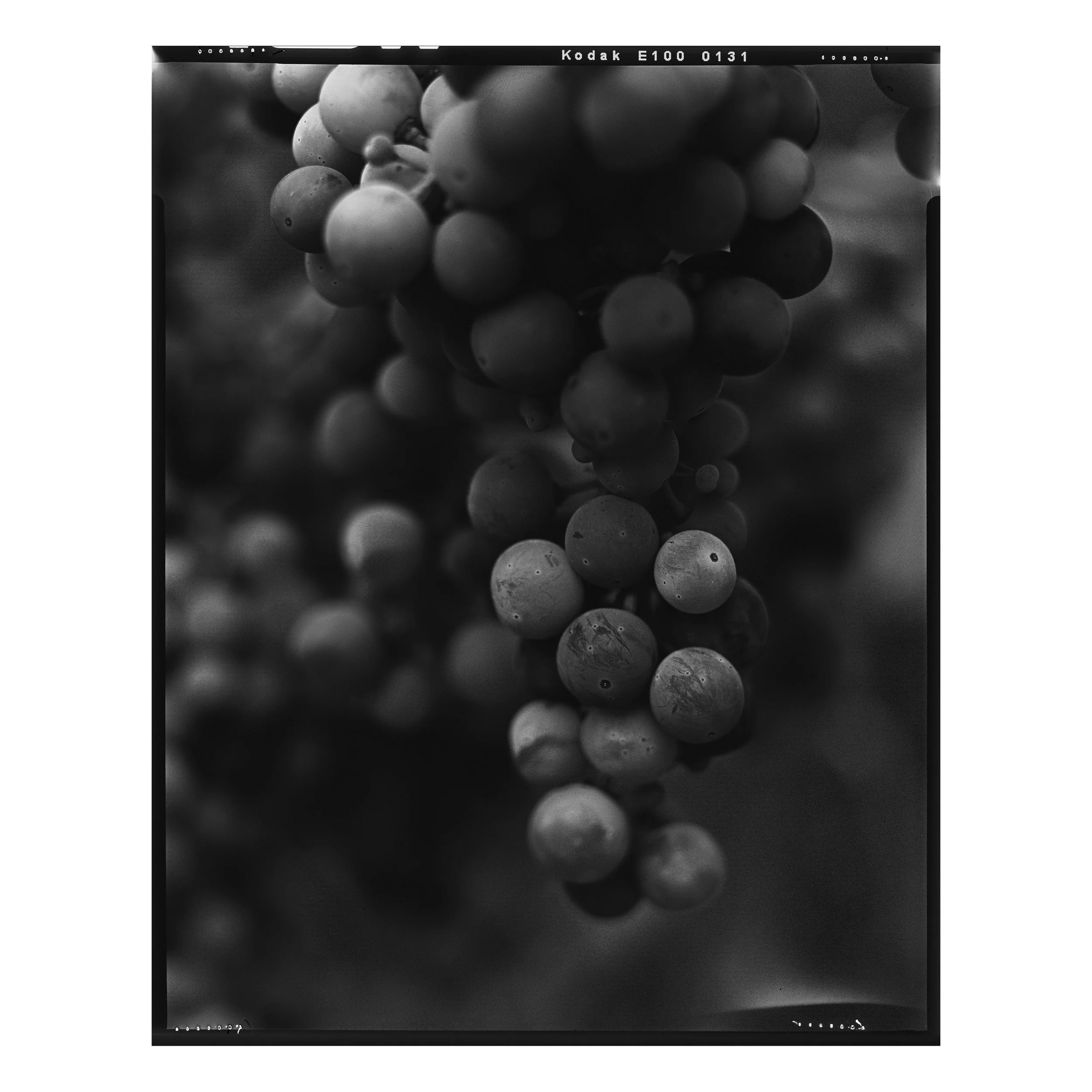 50 Shades Cabernet.jpg (Copy)