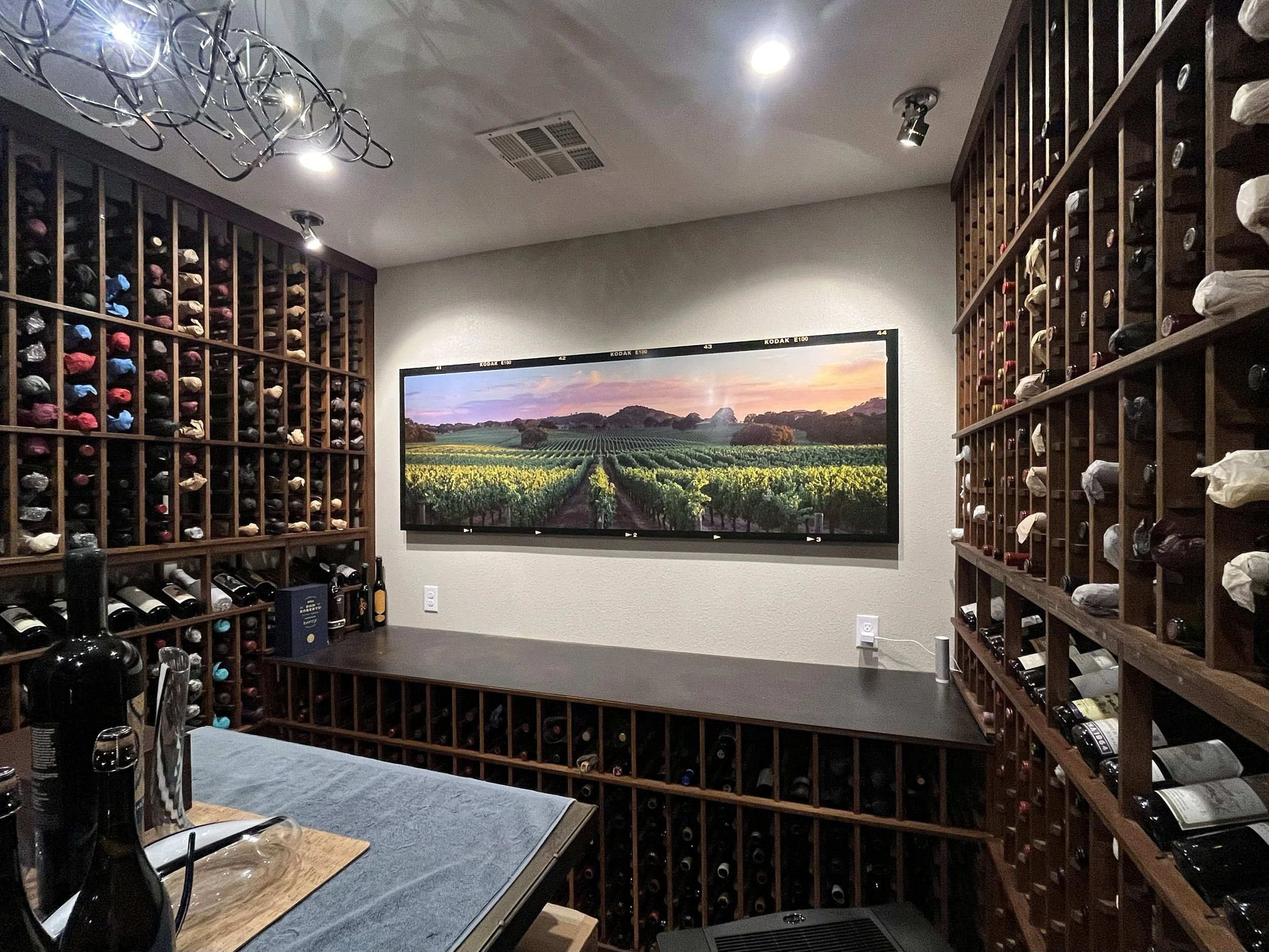 Vines & Branches Vistas Install 3200.jpg