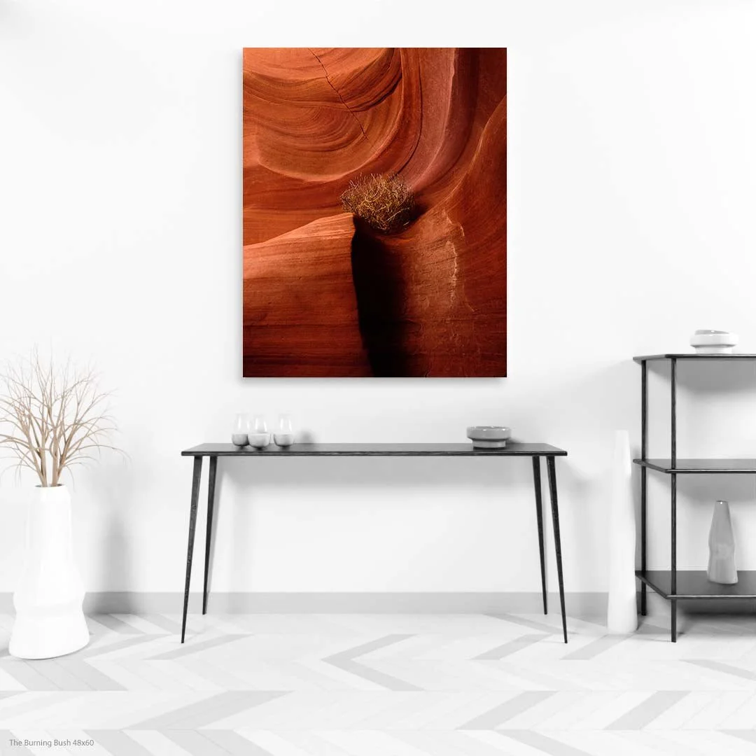 TheBurningBush48x60.jpg