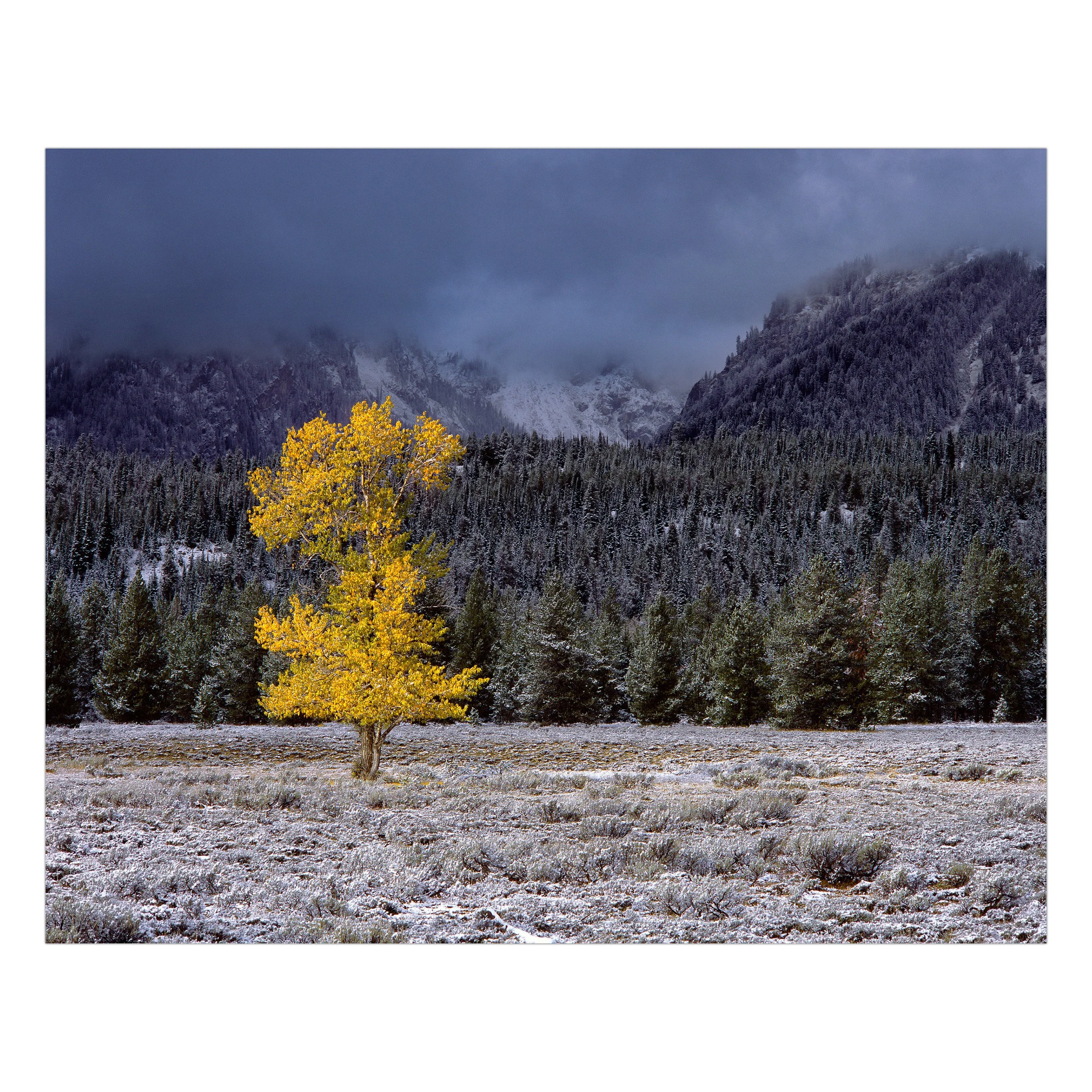 Brink of Winter