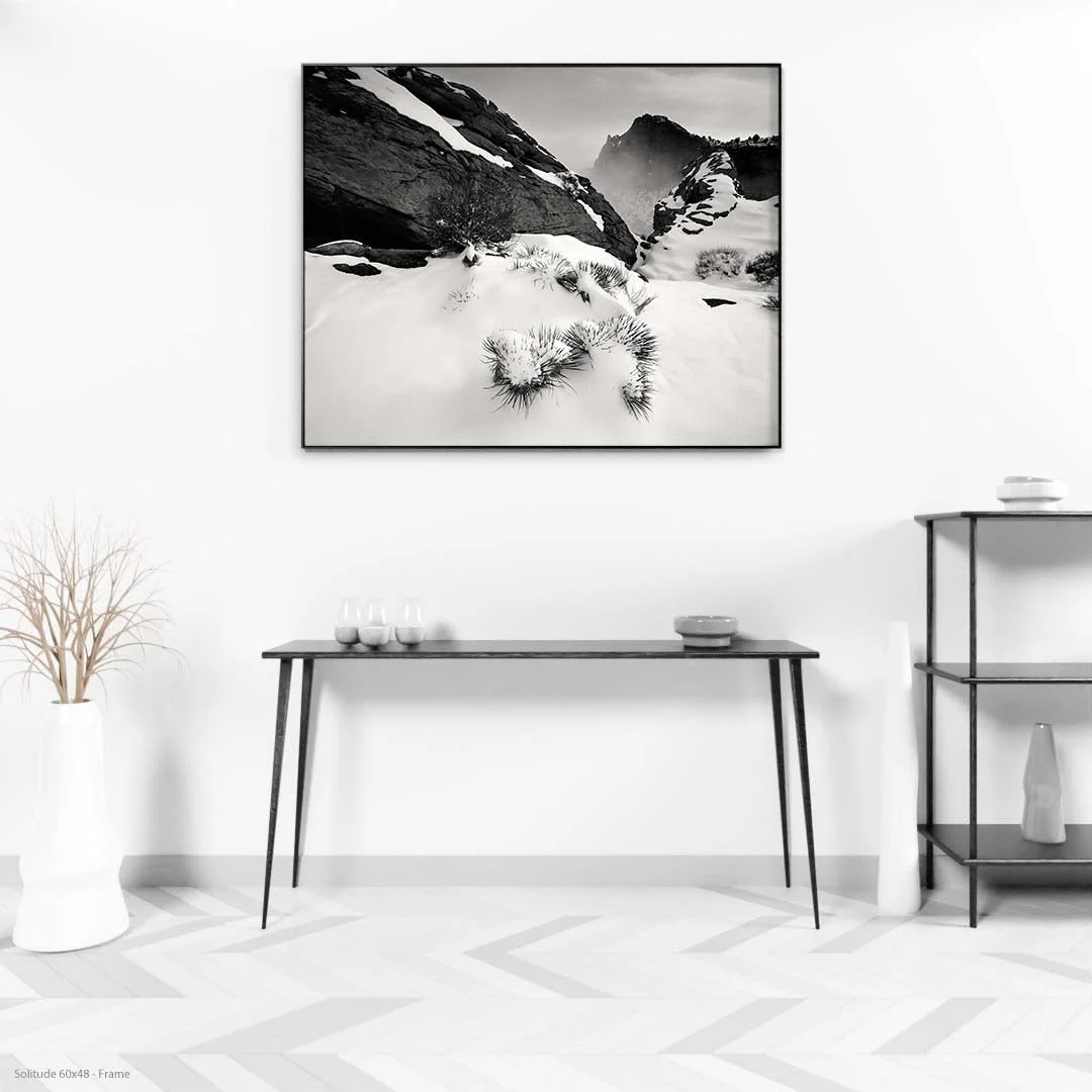 Solitude60x48-Frame.jpg
