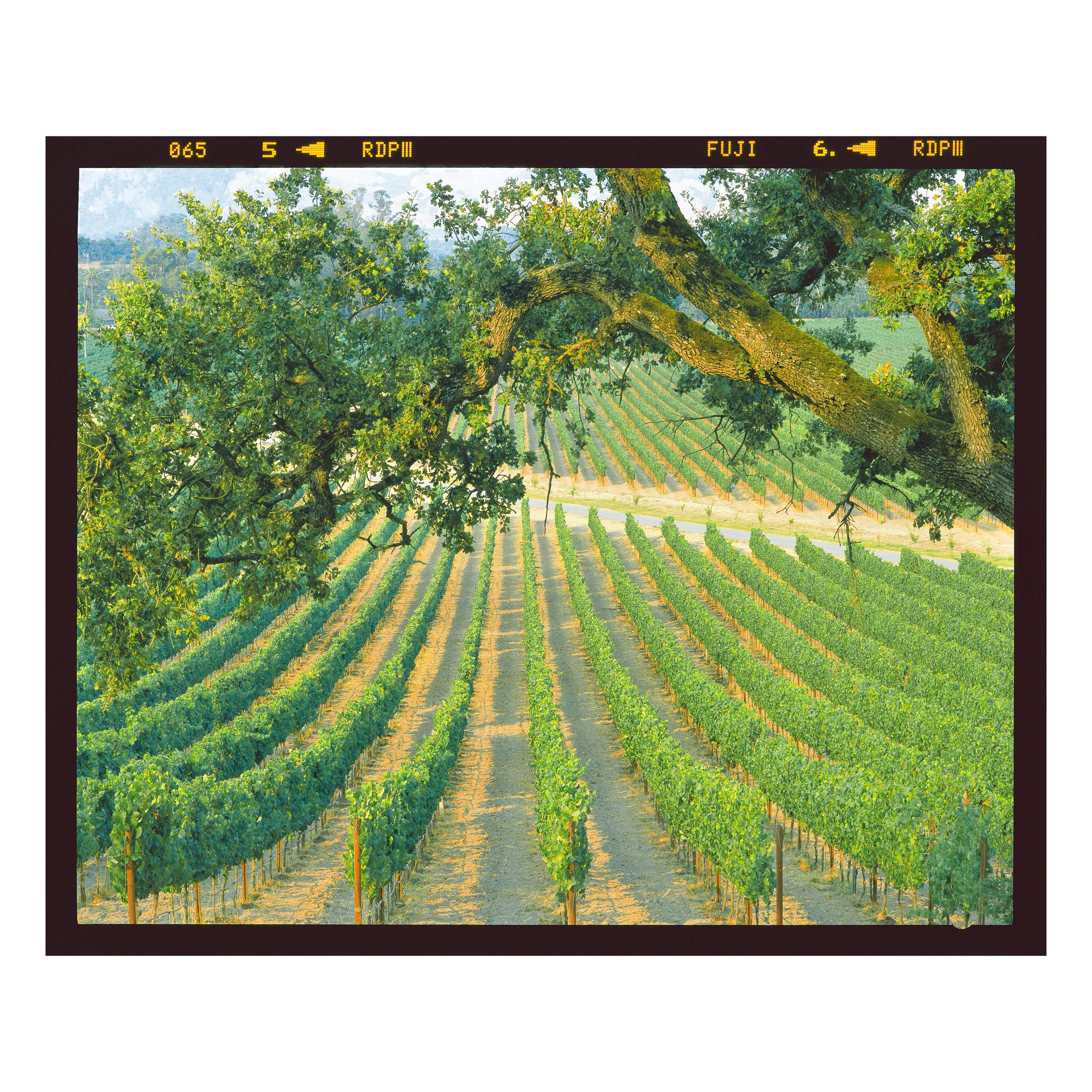 Napa Road