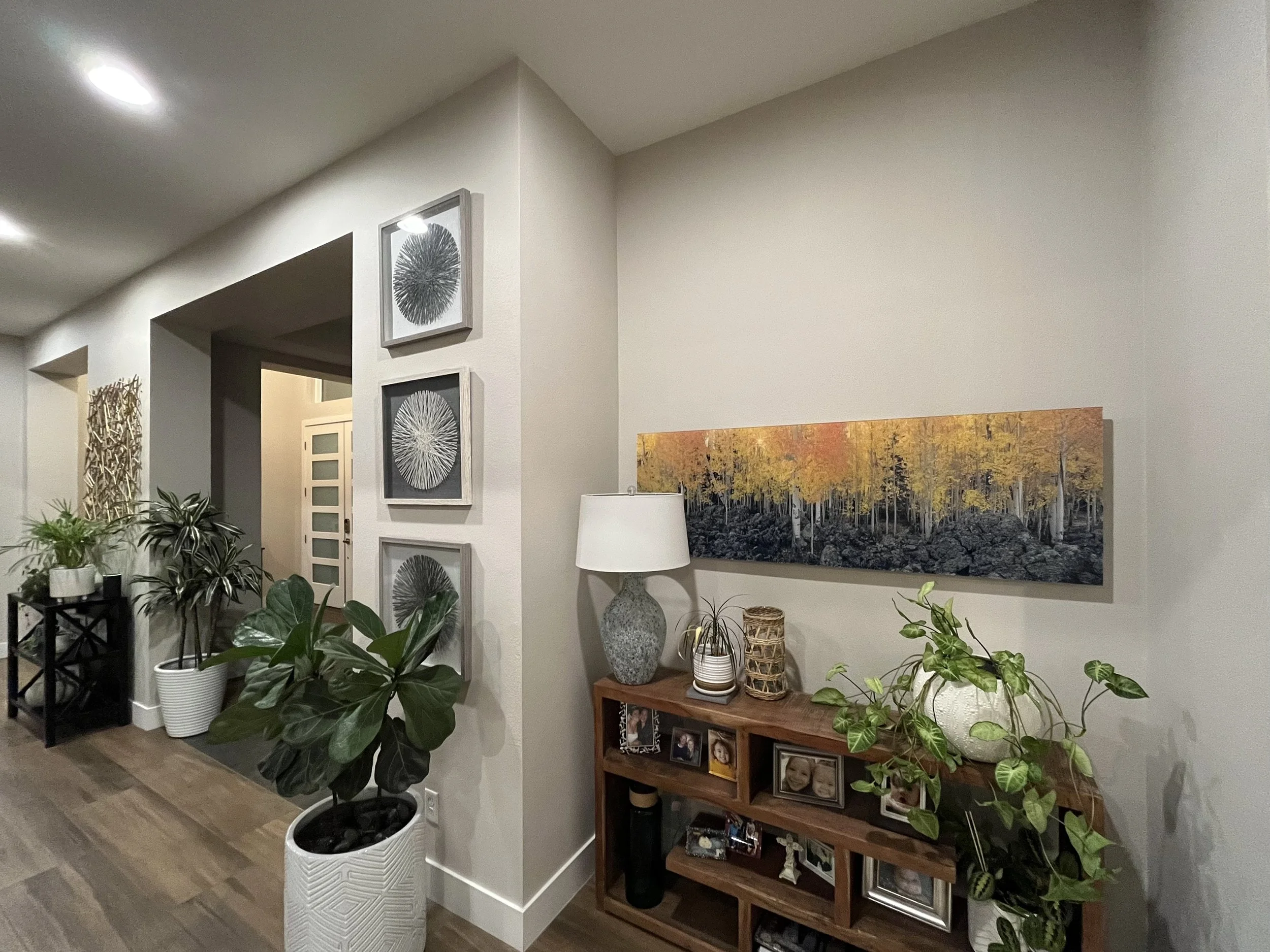 Out Of Ashes Northwest Vegas Install 3200.jpg