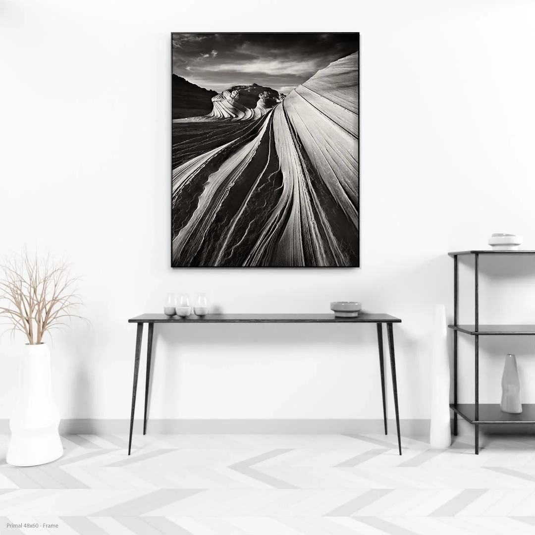 Primal48x60-Frame.jpg