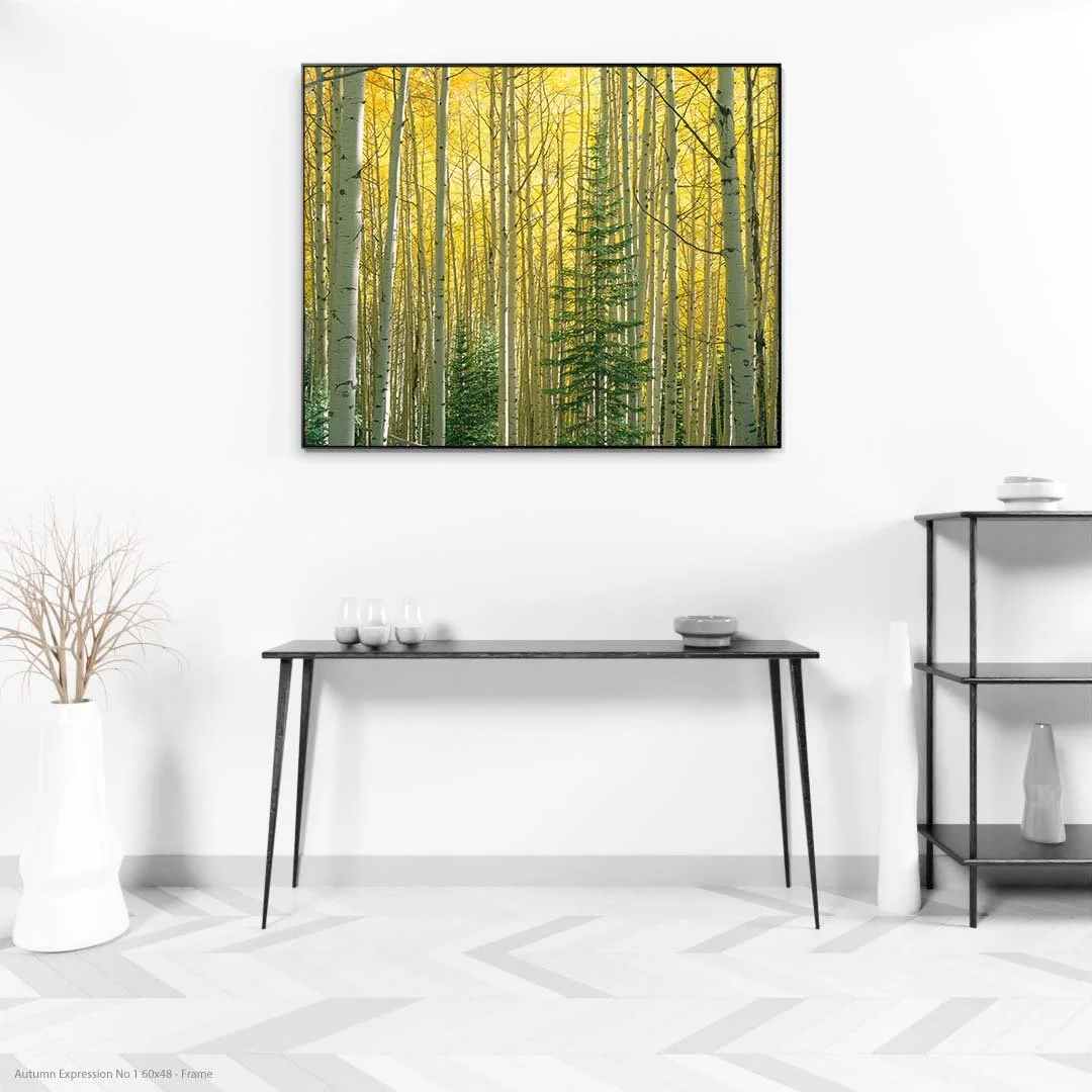 Autumn Expression No 1 60x48 - Frame.jpg