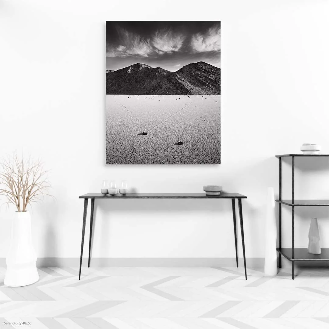 Serendipity48x60.jpg