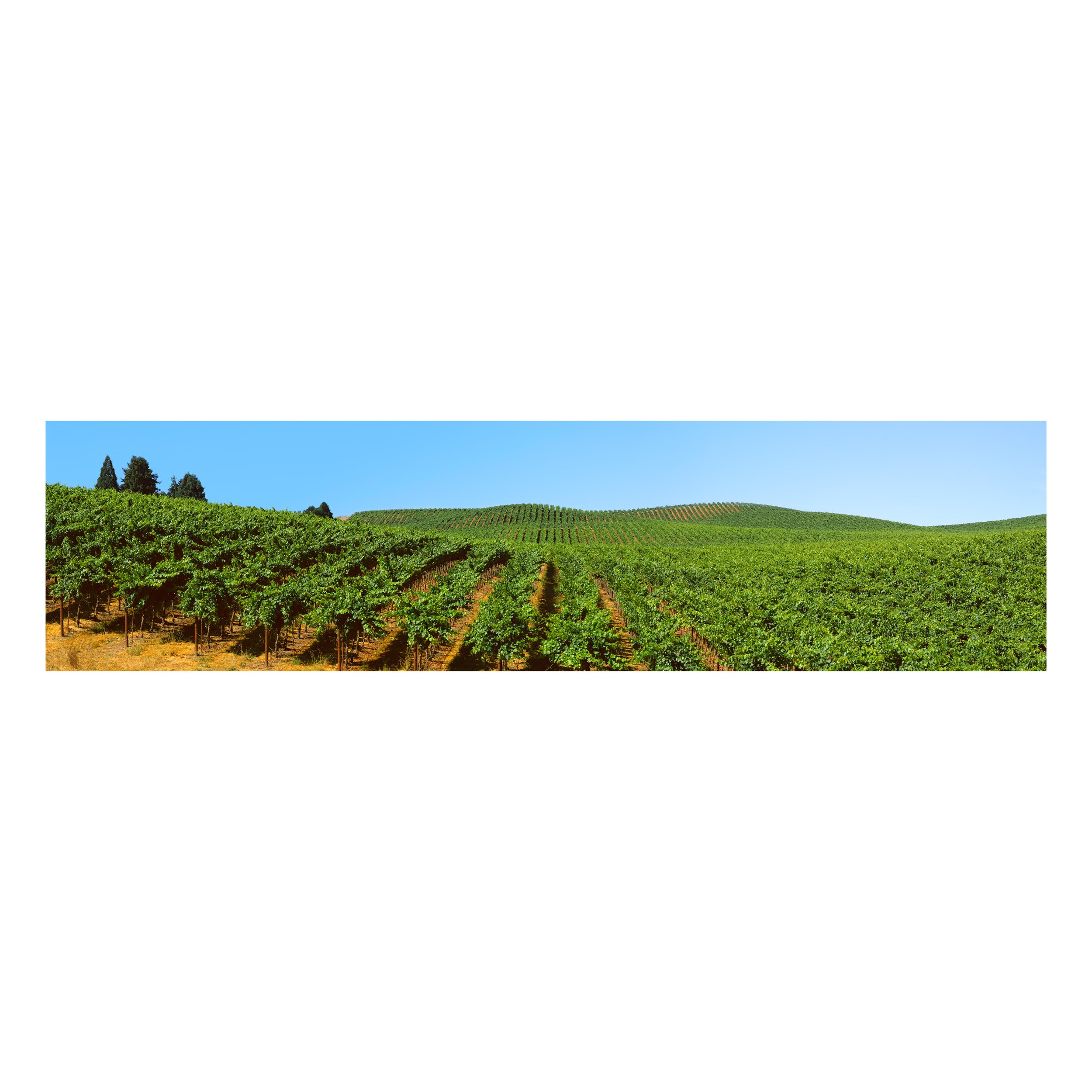 Wine Country