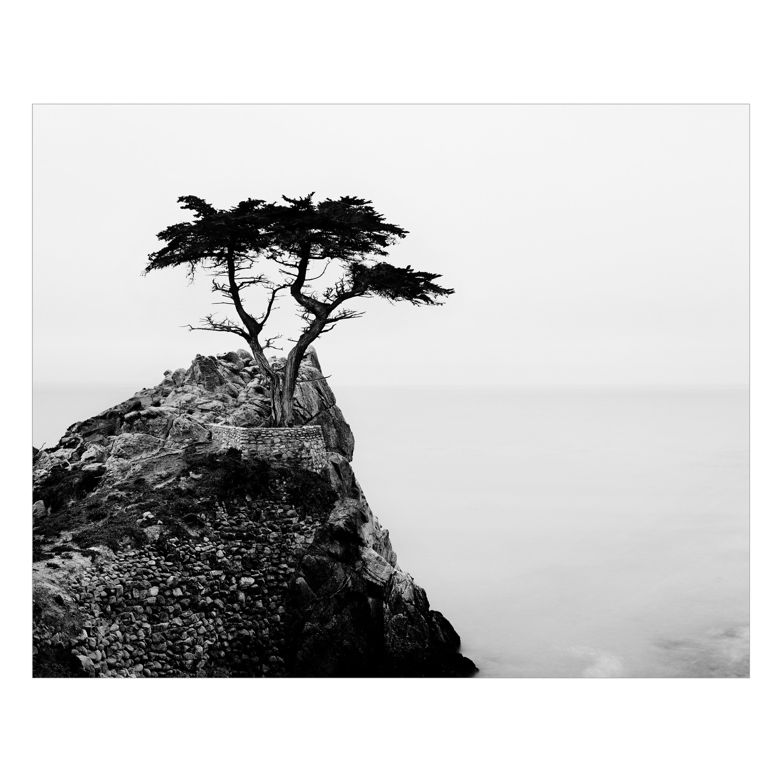 The Guardian