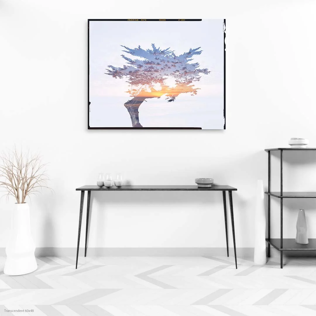 Transcendent 60x48.jpg