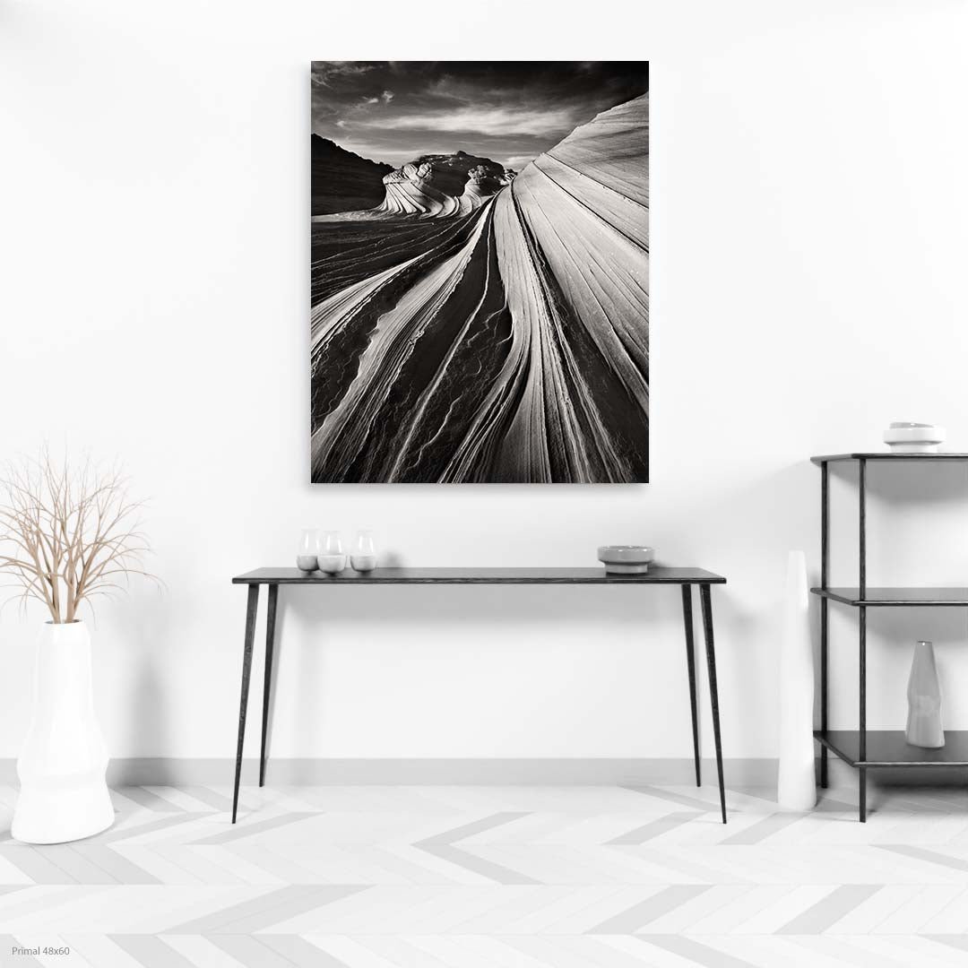 Primal48x60.jpg