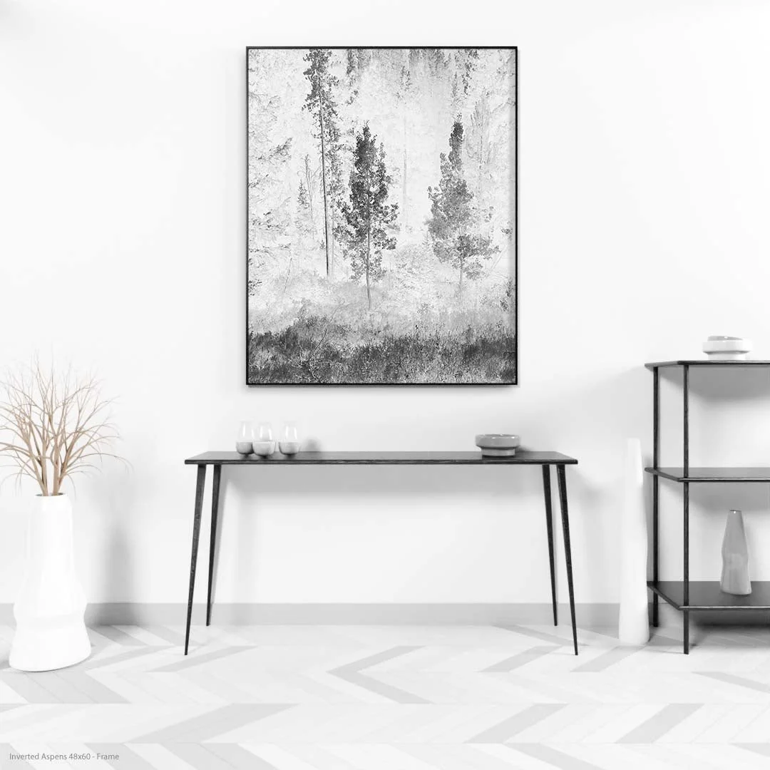 InvertedAspens48x60-Frame.jpg