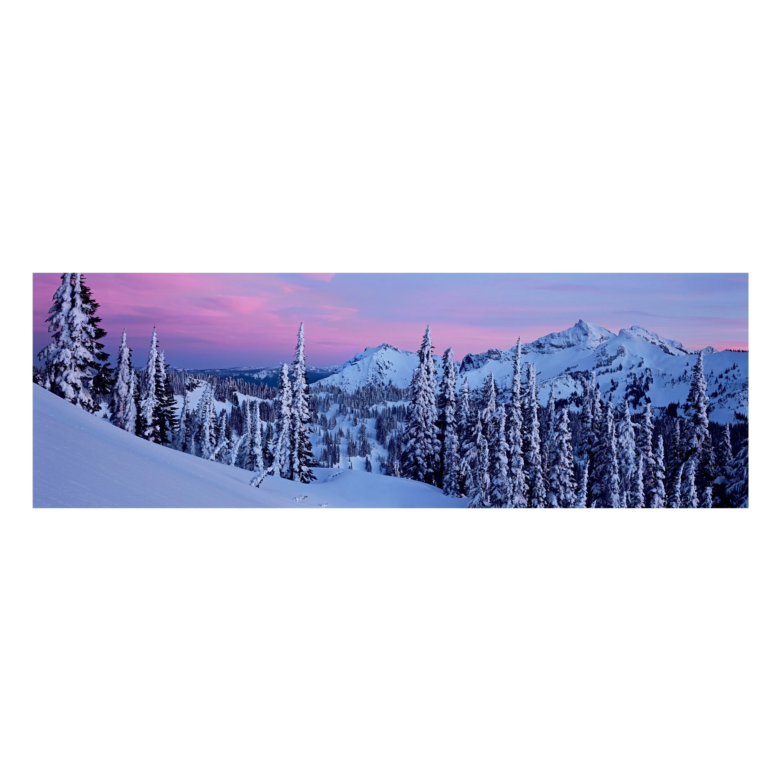 Pristine