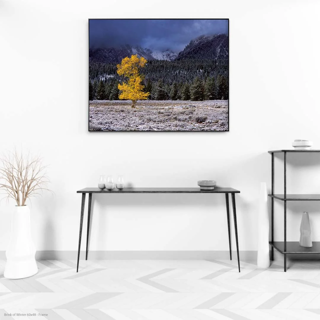 BrinkofWinter60x48-Frame.jpg