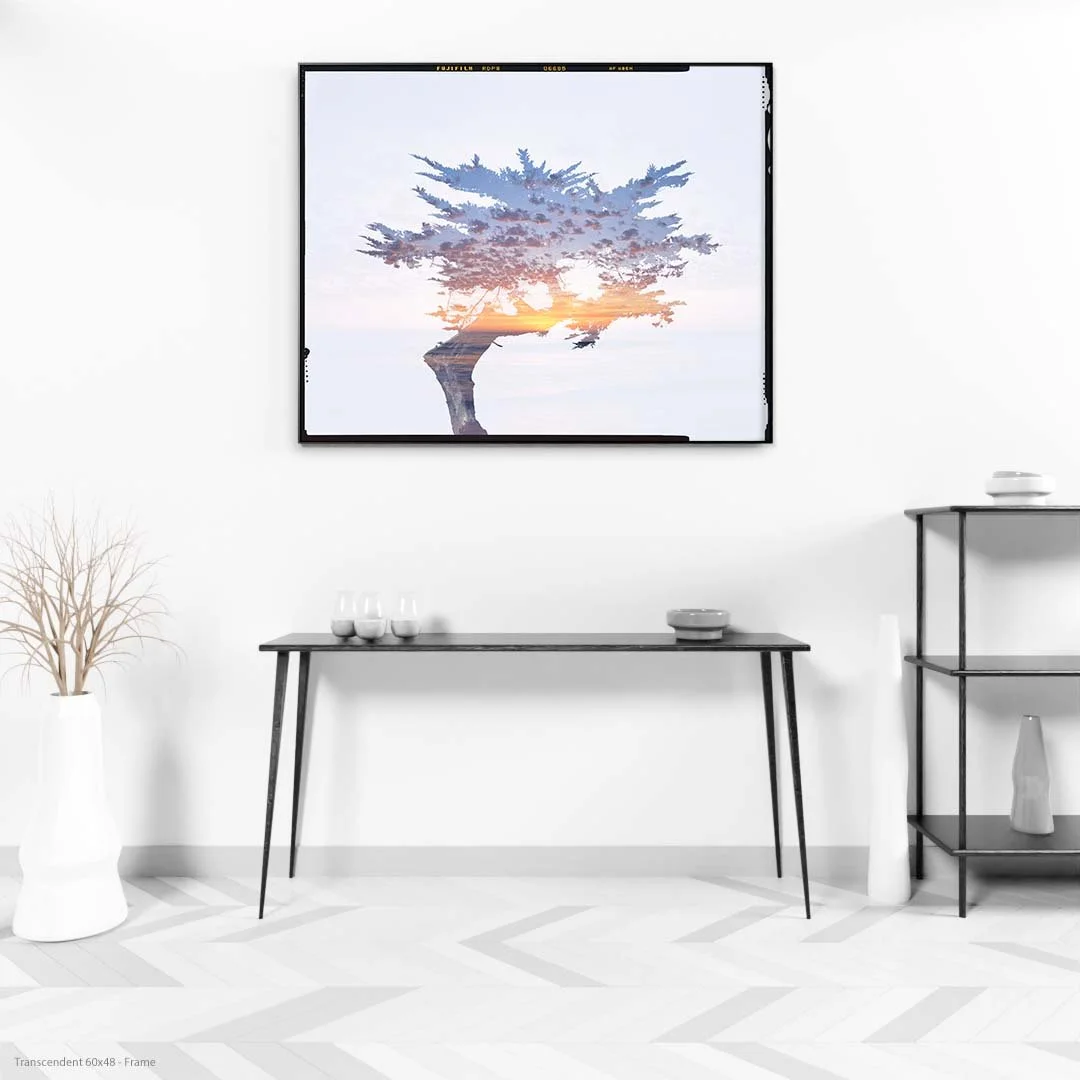 Transcendent 60x48 - Frame.jpg