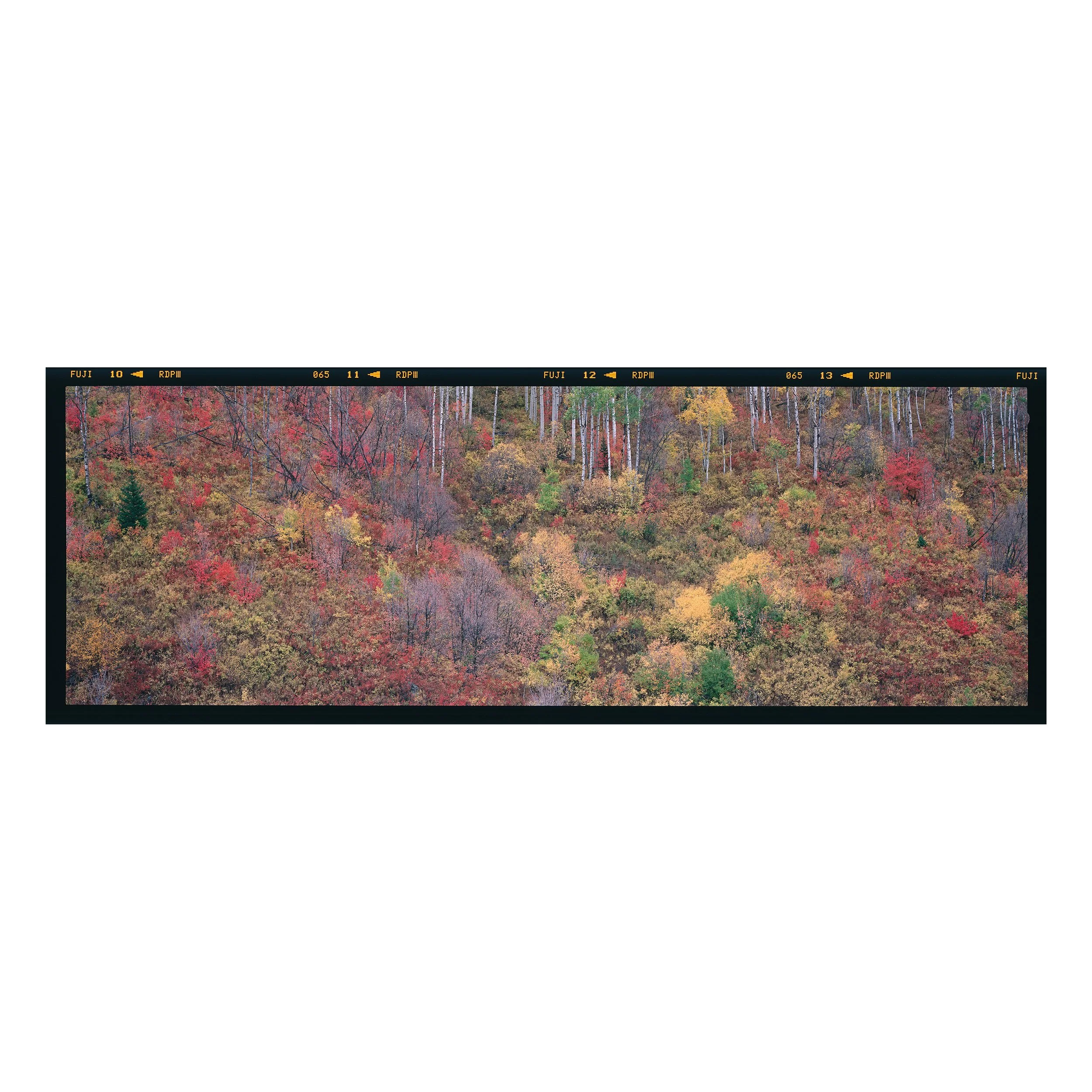 The Sound of Autumn
