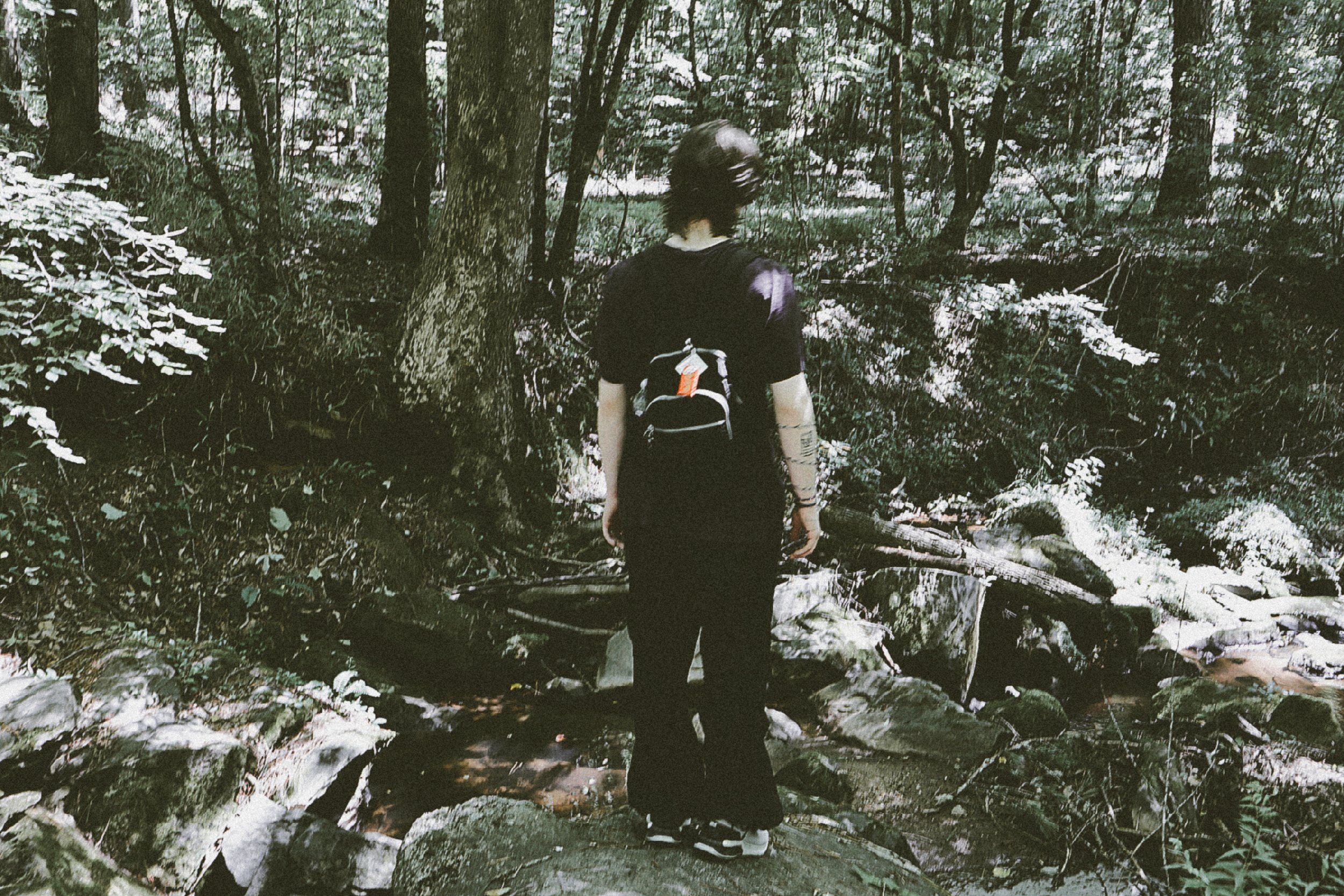 A person with dark, curly hair wearing a black shirt and a backpack, standing in a dense forest with trees and rocks, viewed from behind.